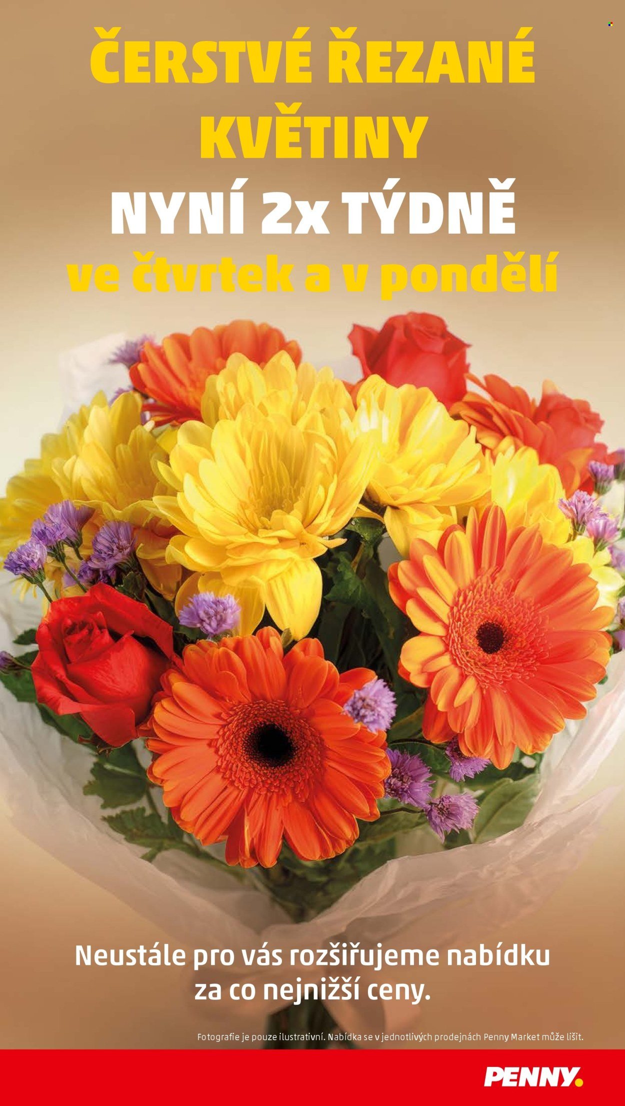 PENNY leták - Nakupujte hezky česky (2026-01-22 - 2026-01-28)