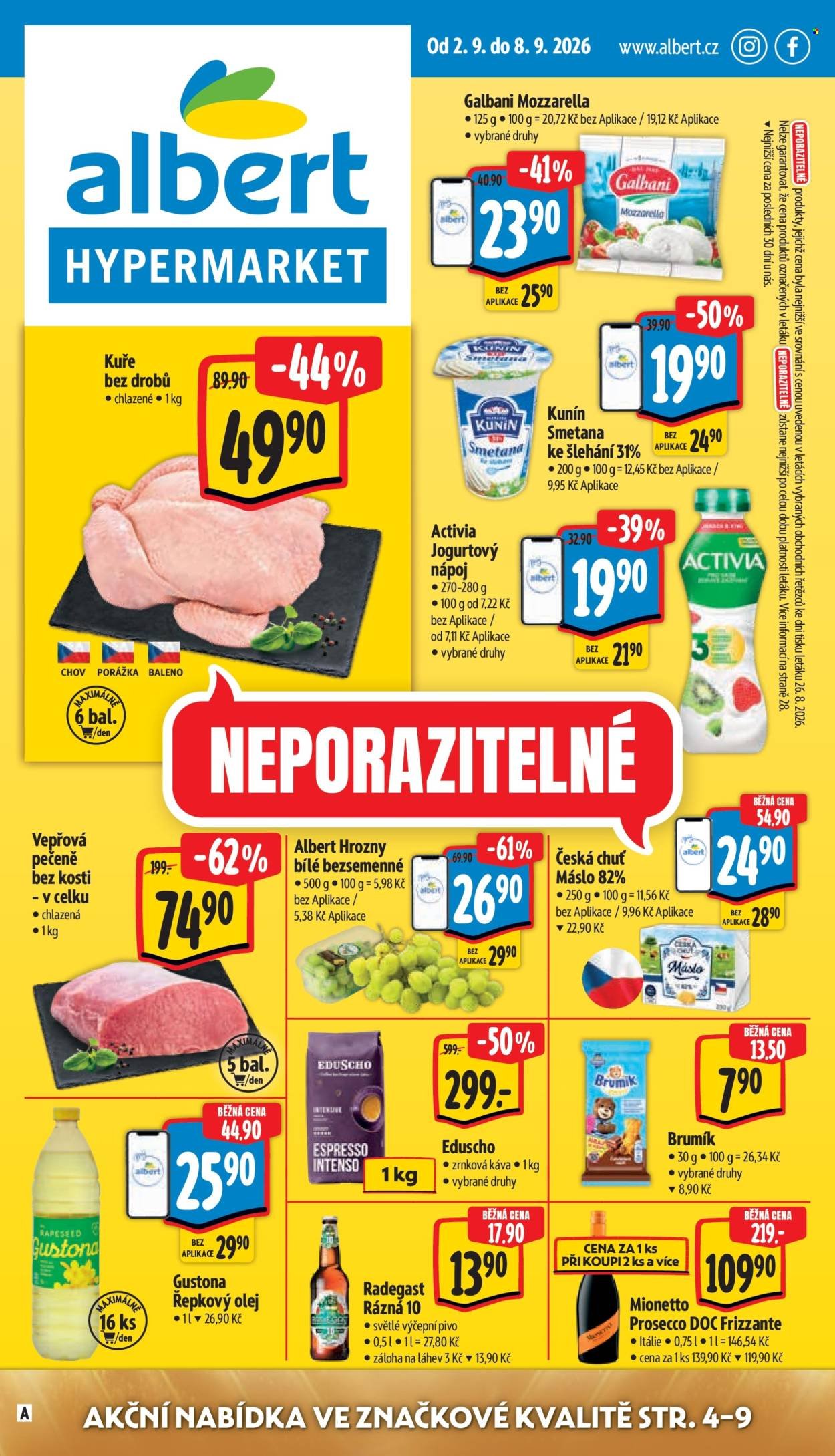 ALBERT leták - Neporazitelné
