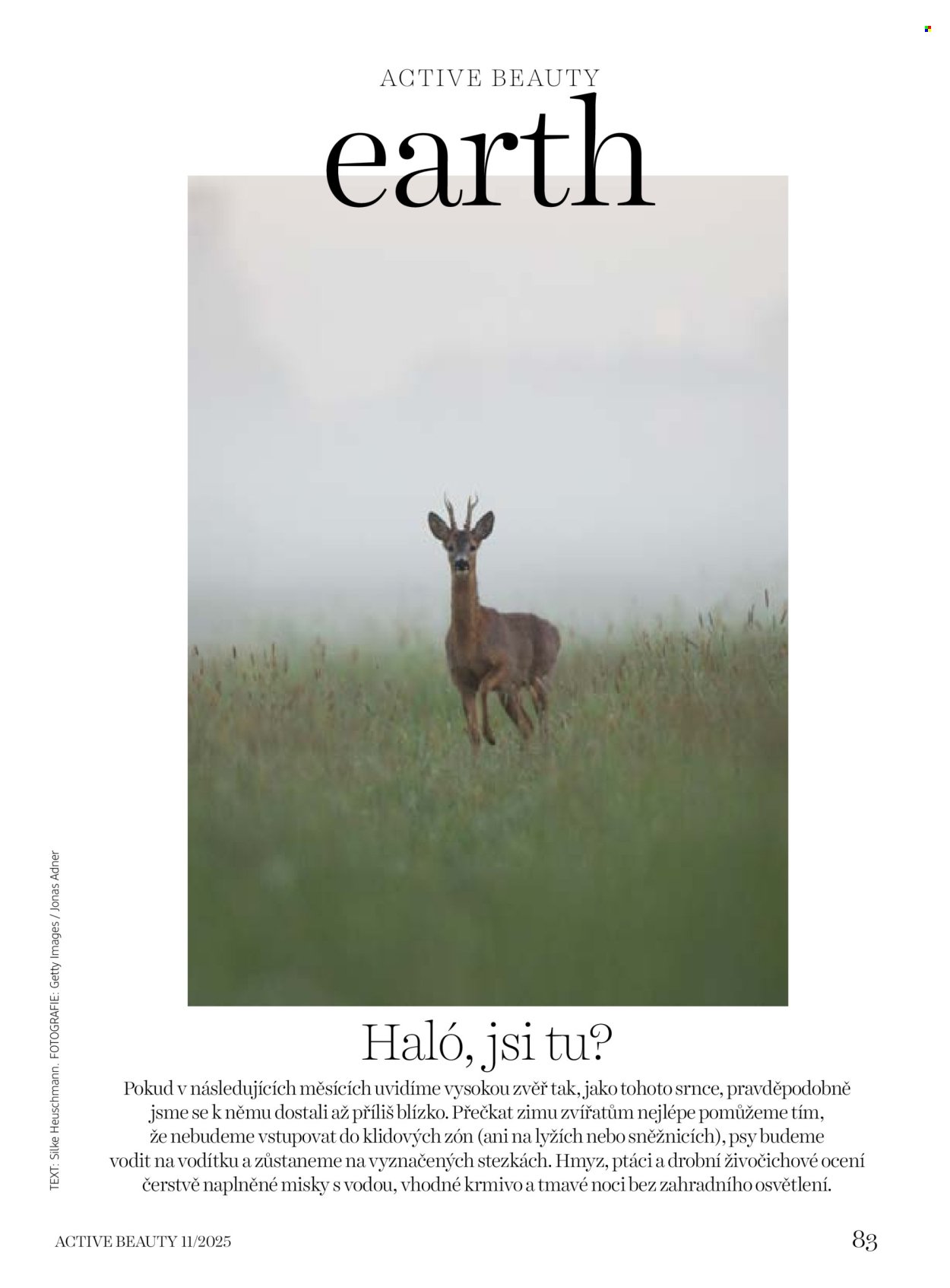 DM DROGERIE leták - Active Beauty (2025-11-07 - 2025-12-04)