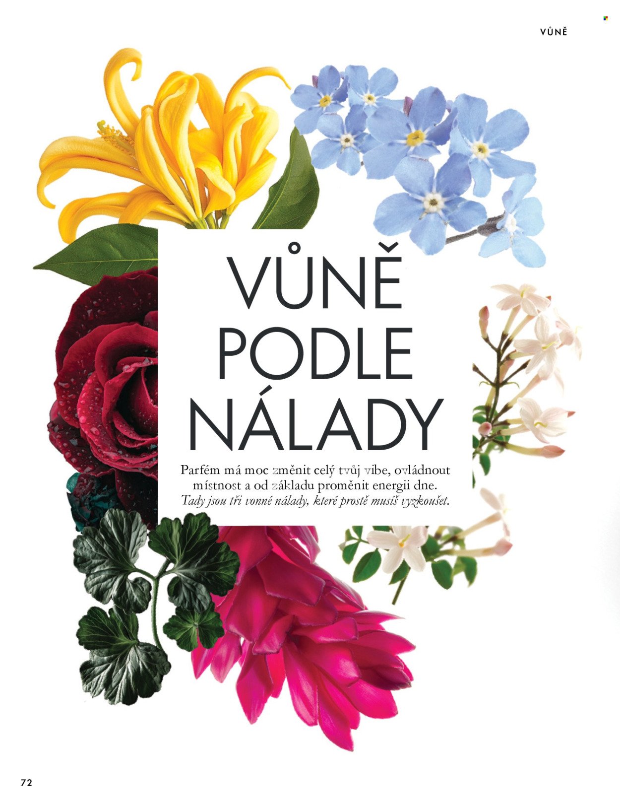 ORIFLAME leták - Od středy 30.9.2026