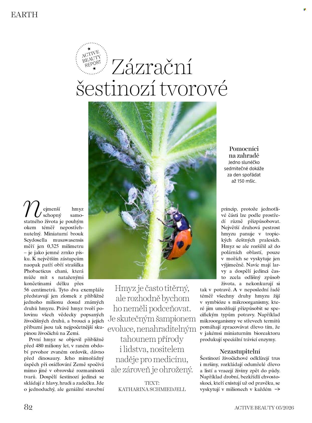 DM DROGERIE leták - Active Beauty (2026-05-07 - 2026-06-04)