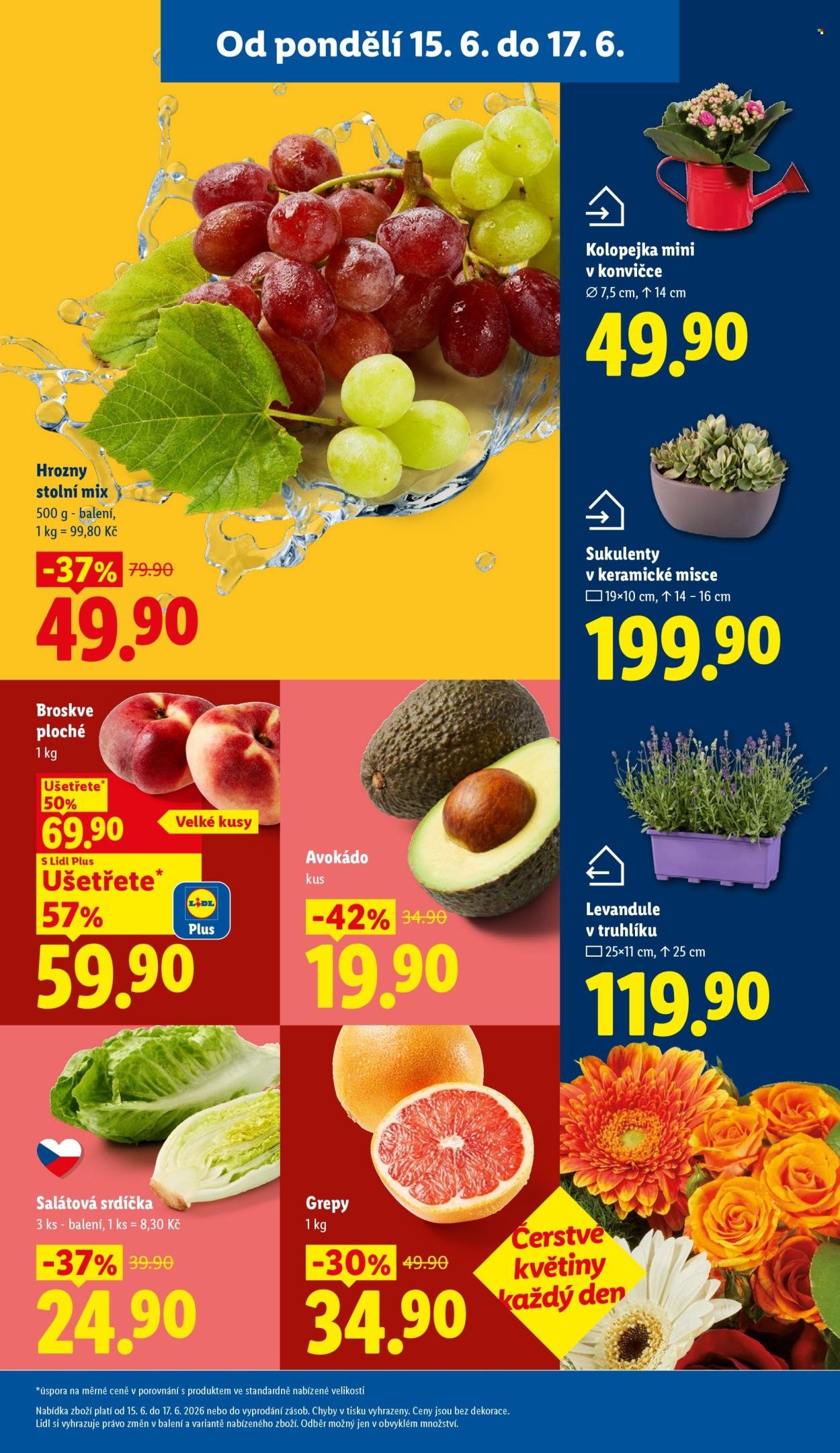 LIDL leták - Od pondělí 15.6.2026
