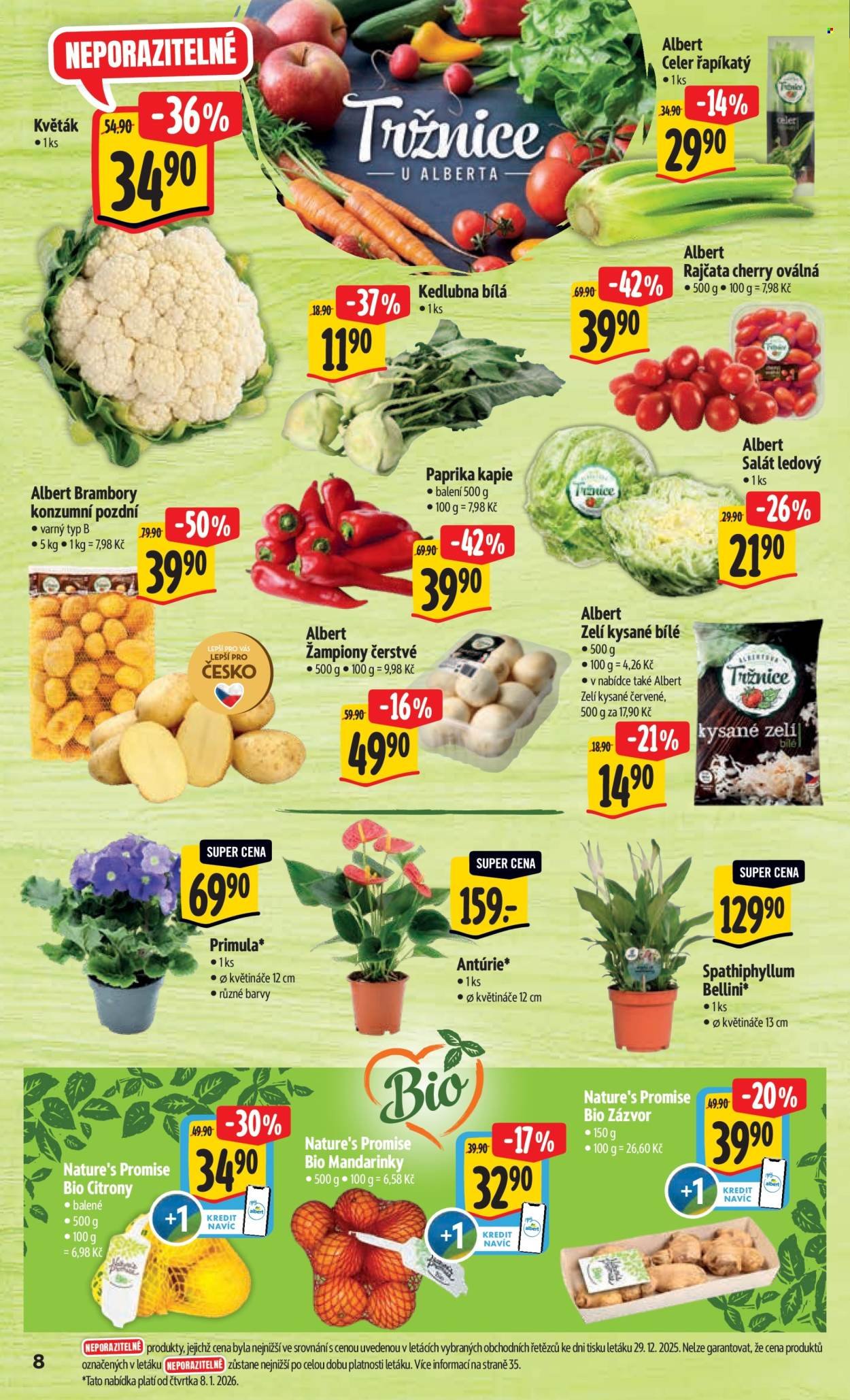 ALBERT leták - Neporazitelné (2026-01-07 - 2026-01-13)