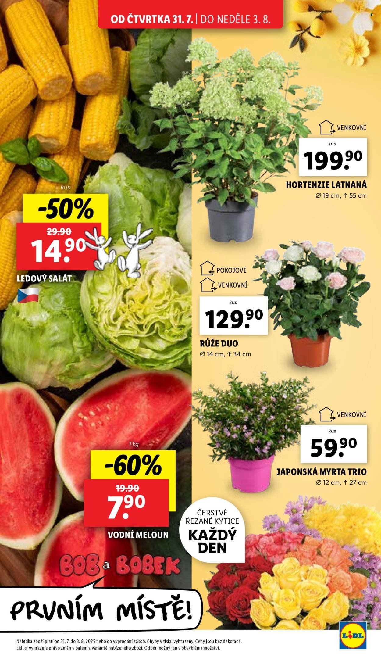 LIDL leták - Od čtvrtka 31.7.2025 (2025-07-31 - 2025-08-03)