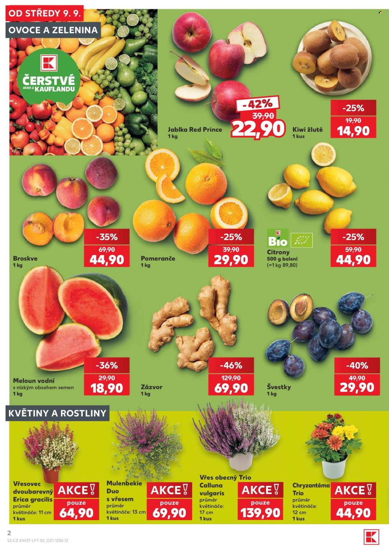 KAUFLAND leták - Od středy 9.9.2026