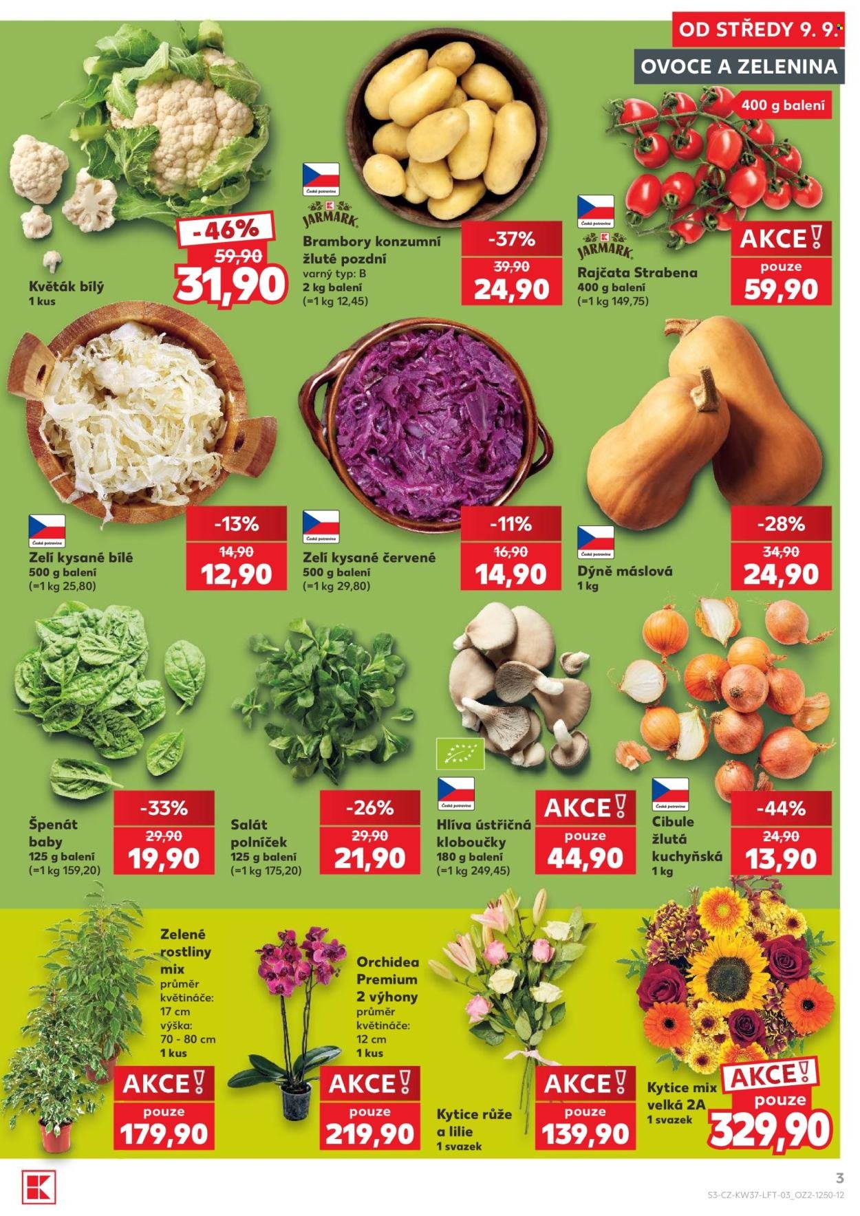 KAUFLAND leták - Od středy 9.9.2026