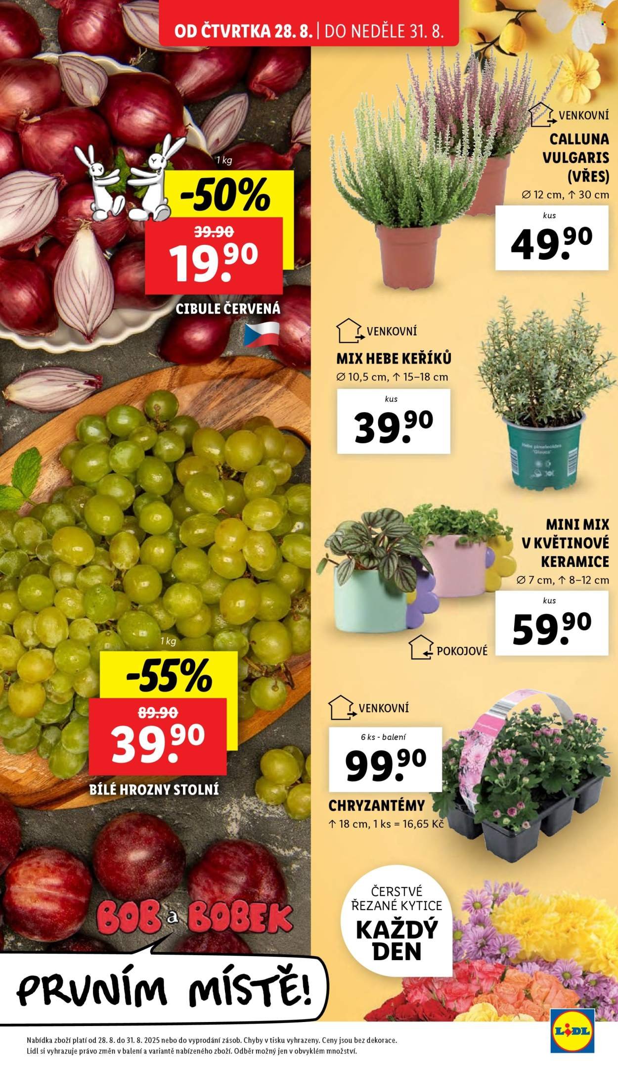 LIDL leták - Od čtvrtka 28.8.2025 (2025-08-28 - 2025-08-31)