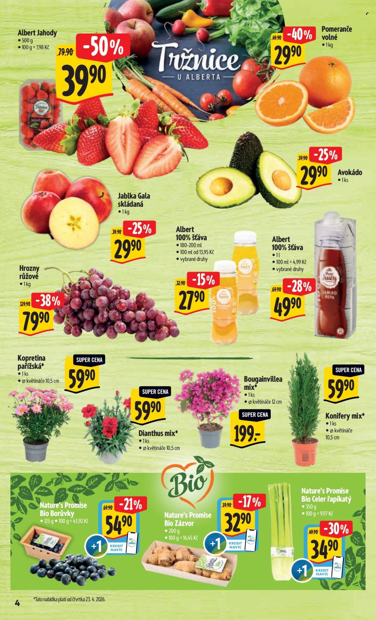 ALBERT leták - Neporazitelné (2026-04-22 - 2026-04-28)