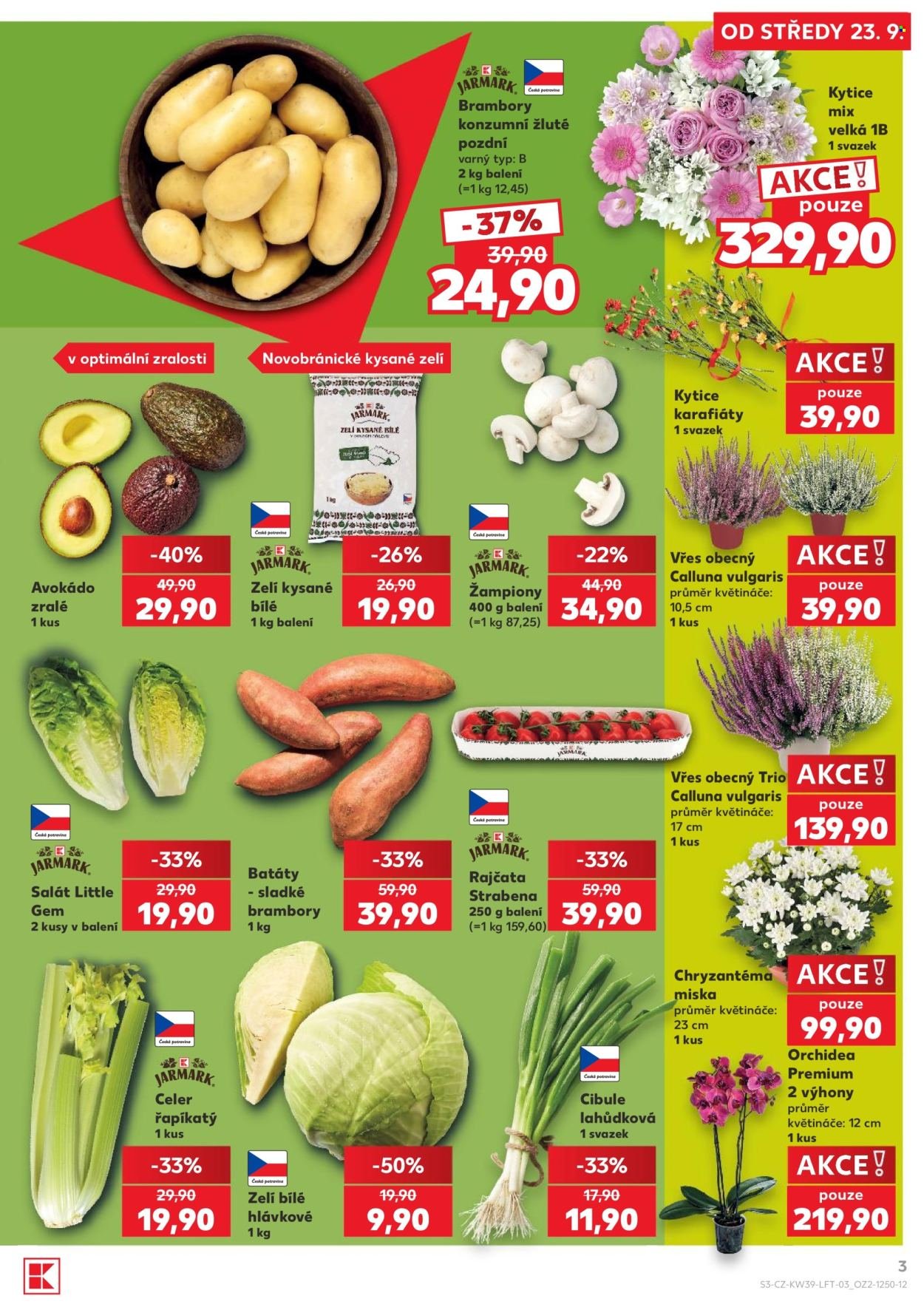 KAUFLAND leták - Od středy 23.9.2026