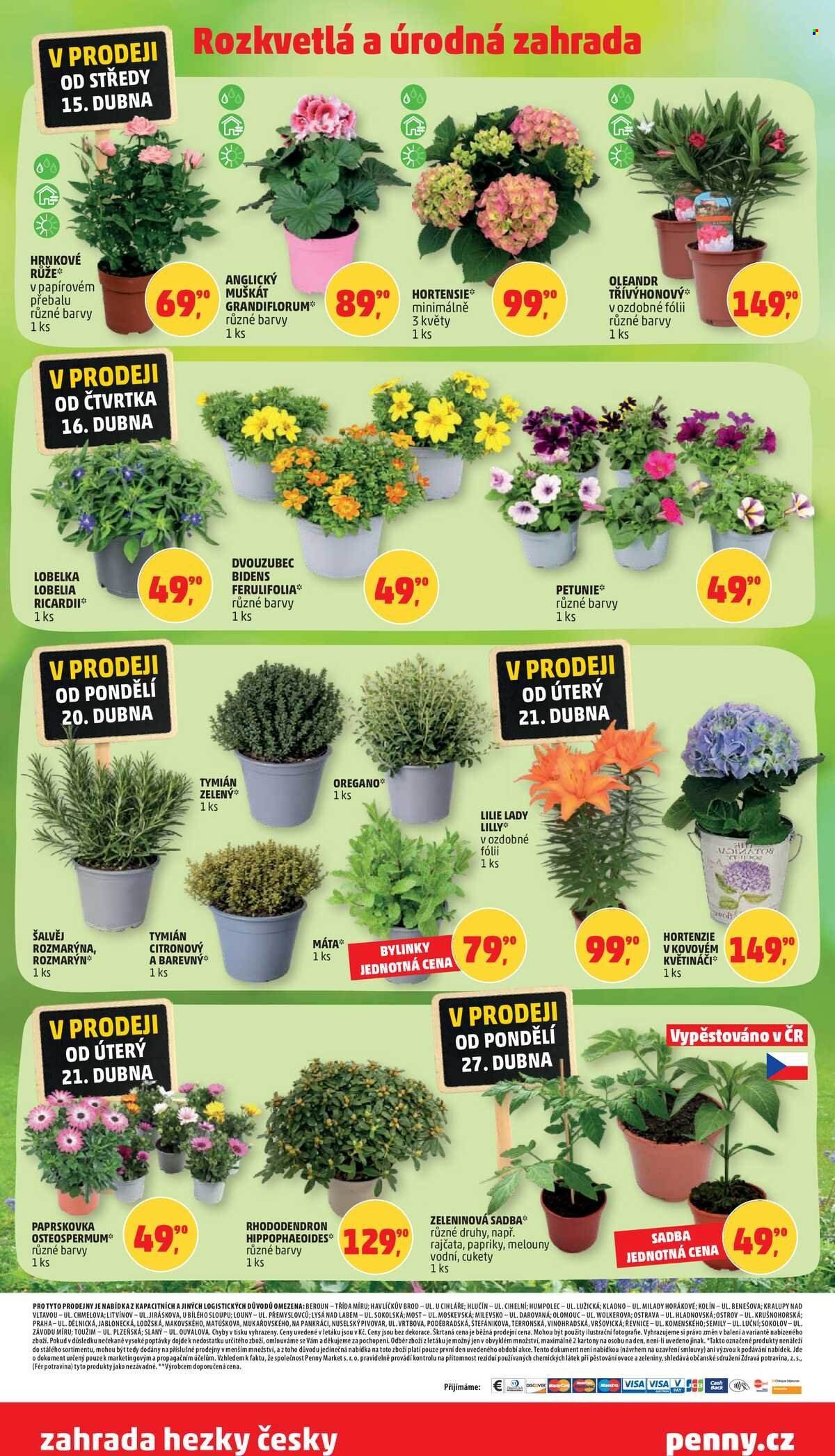 PENNY leták - zahrada hezky česky (2026-04-15 - 2026-04-28)
