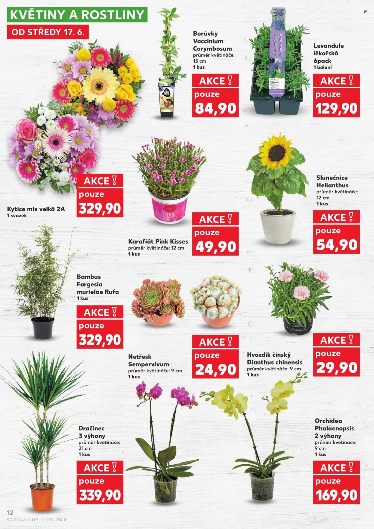 KAUFLAND leták - Od středy 17.6.2026