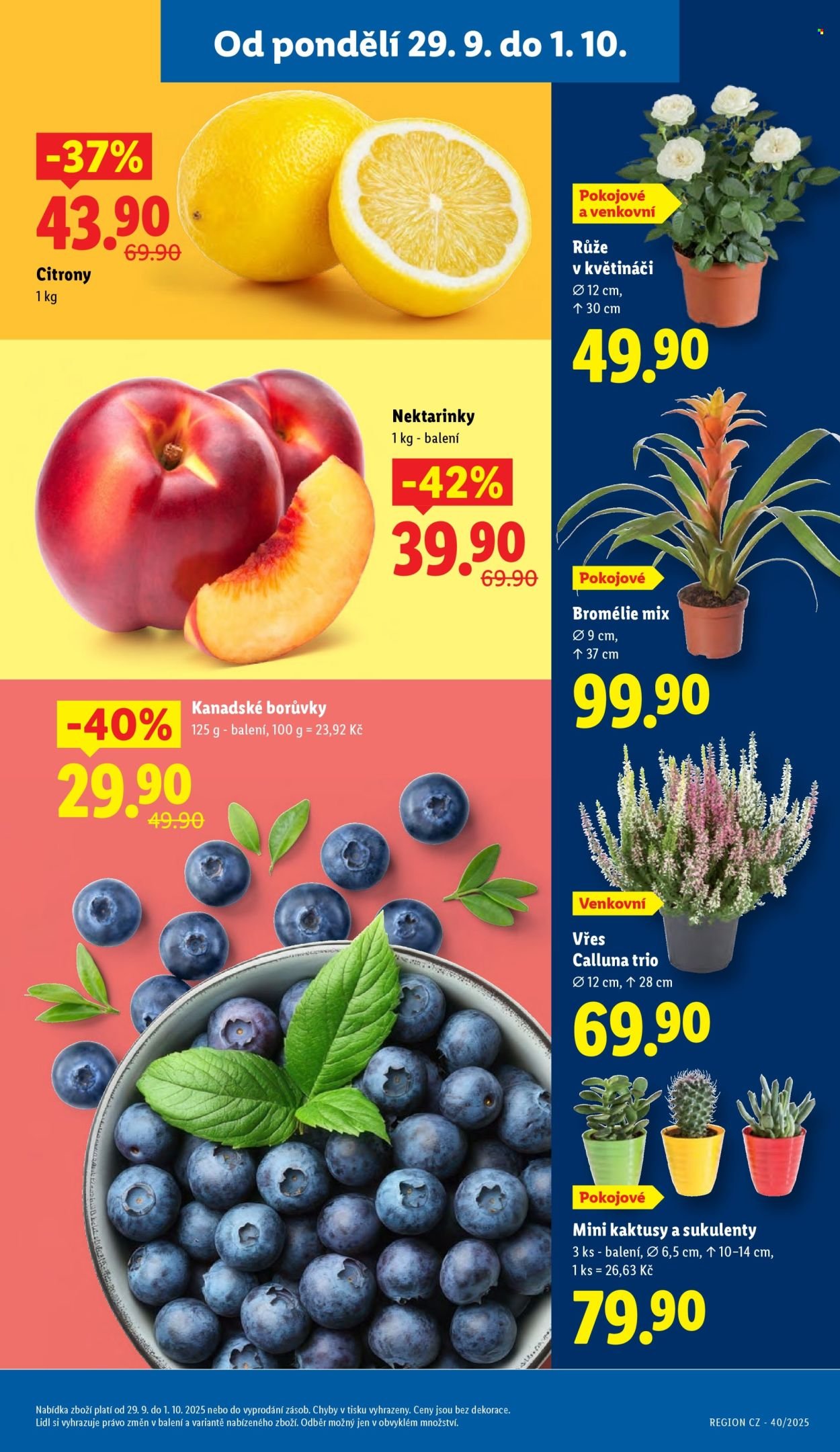 LIDL leták - Od pondělí 29.9.2025 (2025-09-29 - 2025-10-01)