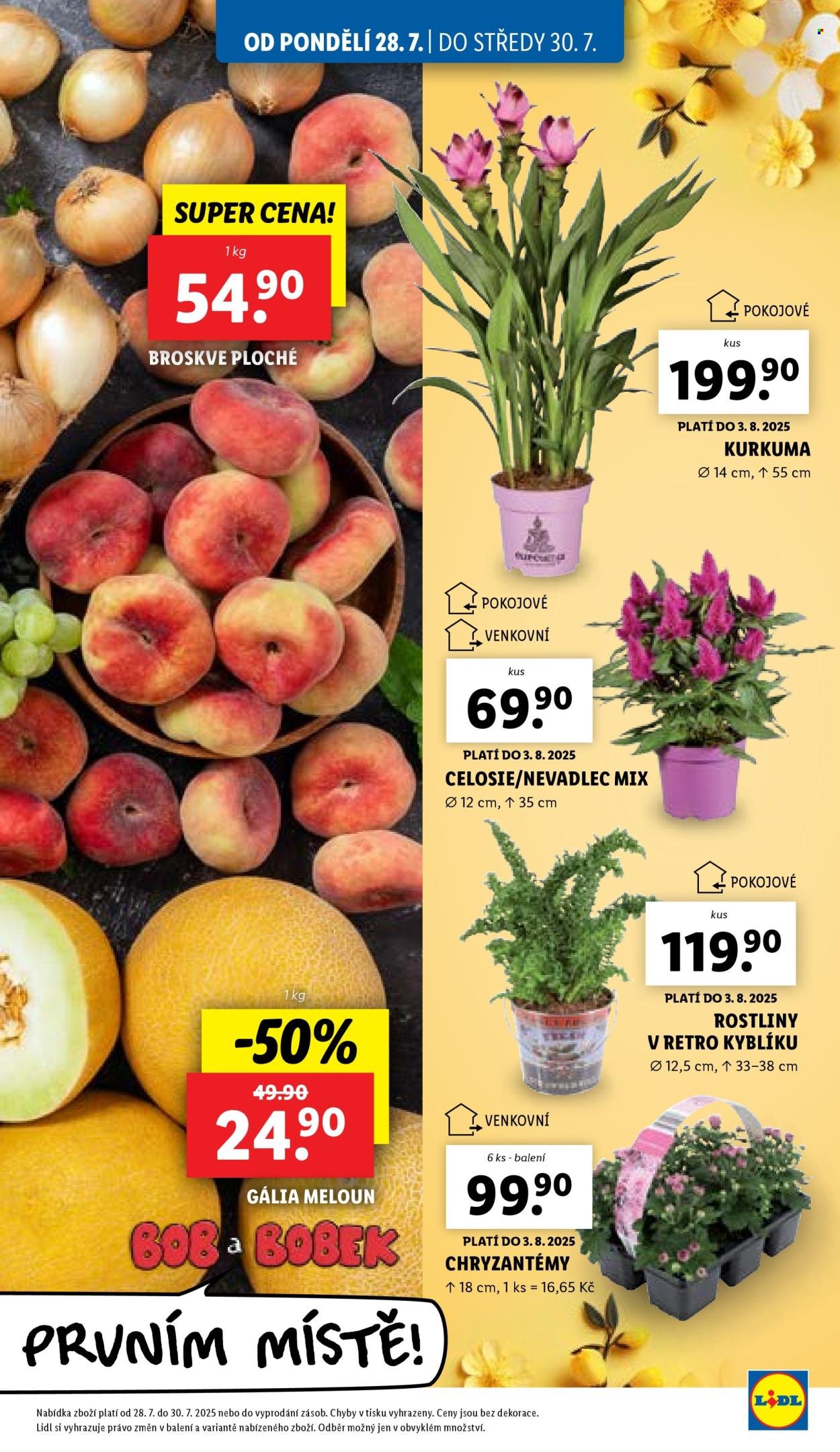LIDL leták - Od pondělí 28.7.2025 (2025-07-28 - 2025-08-03)