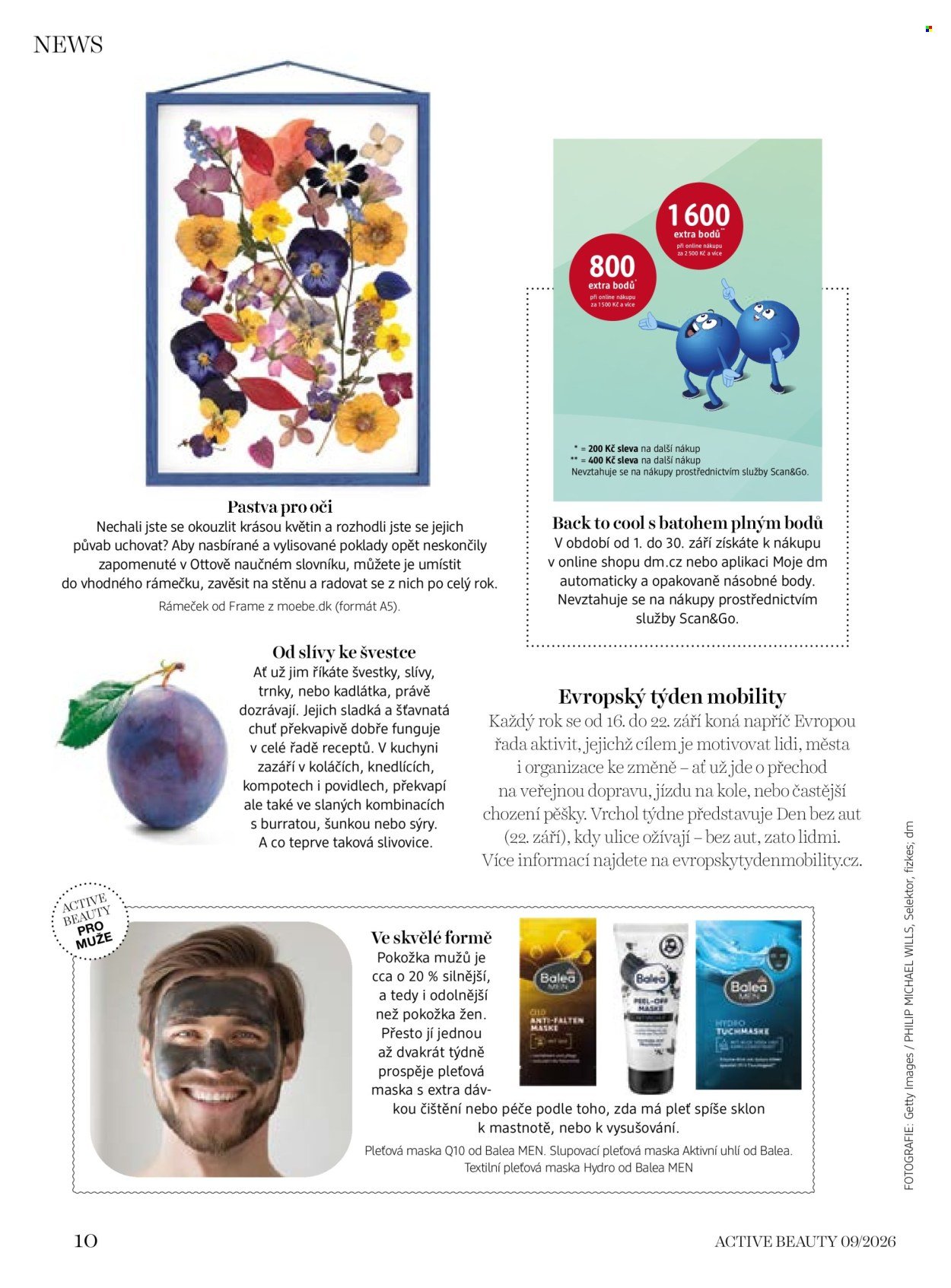 DM DROGERIE leták - Active Beauty