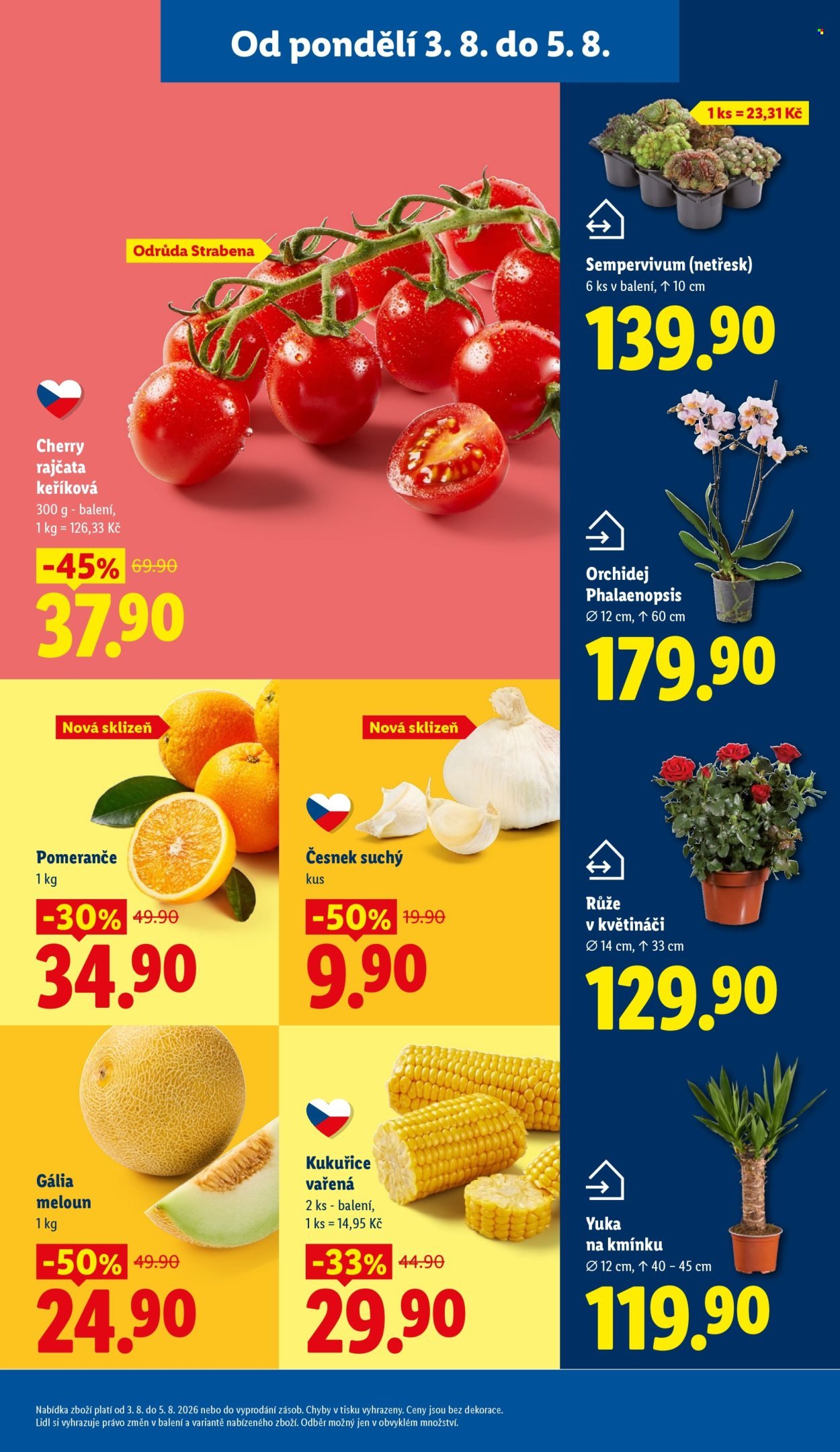 LIDL leták - Od pondělí 3.8.2026