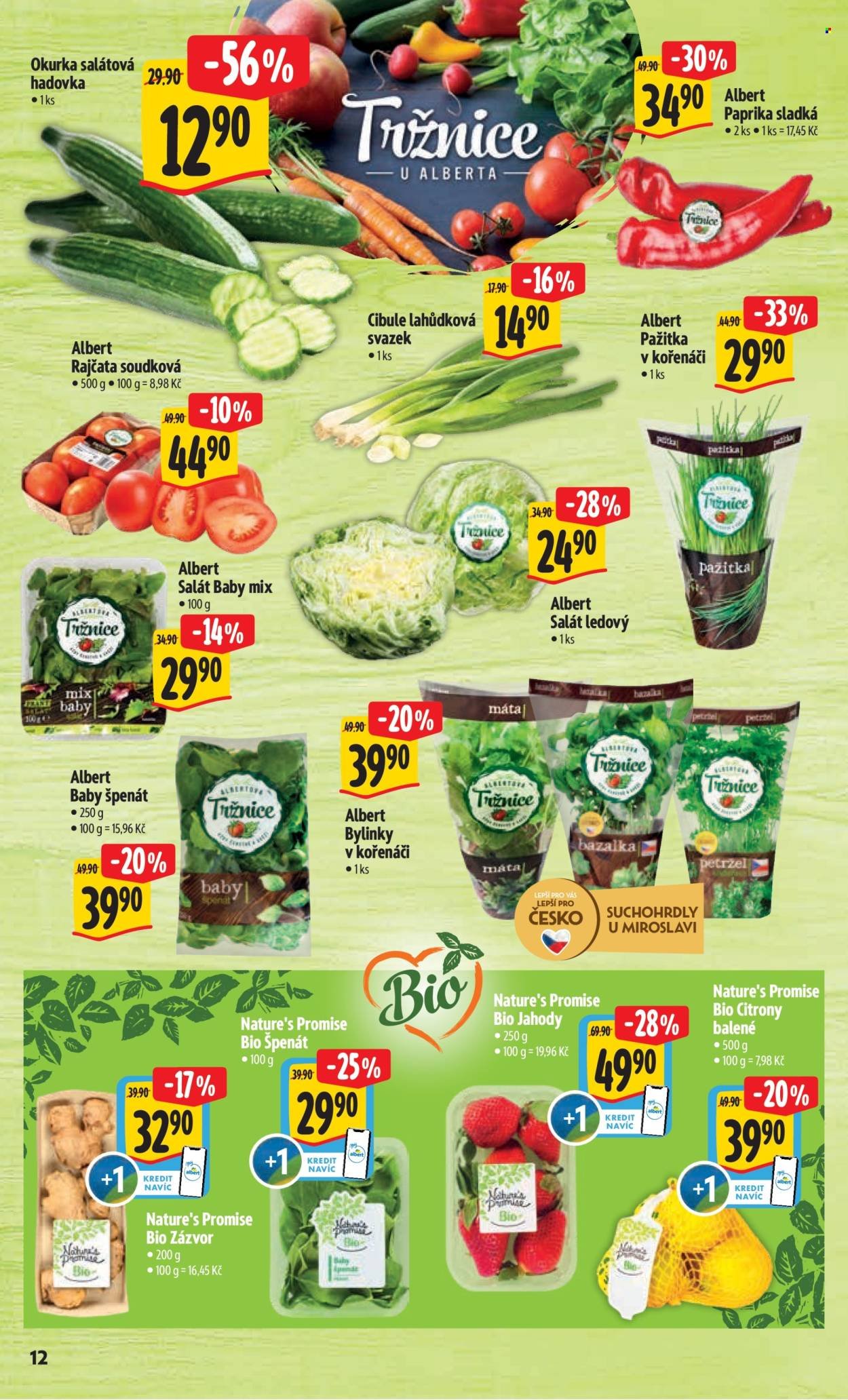 ALBERT leták - Neporazitelné (2026-04-01 - 2026-04-05)