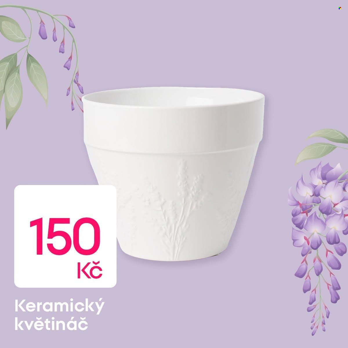 PEPCO leták - Květinové akcenty v Pepco
