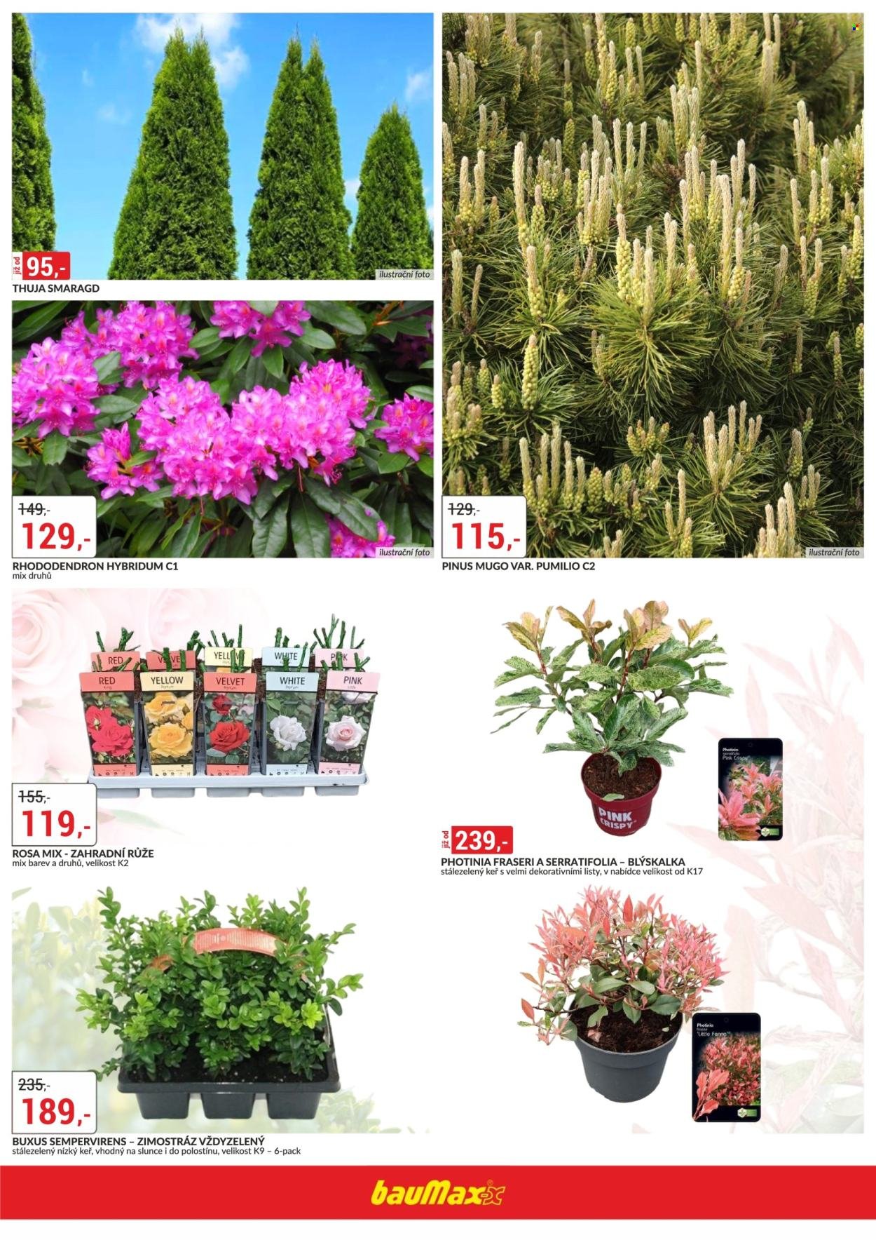 BAUMAX leták - Od čtvrtka 12.3.2026 (2026-03-12 - 2026-03-31)