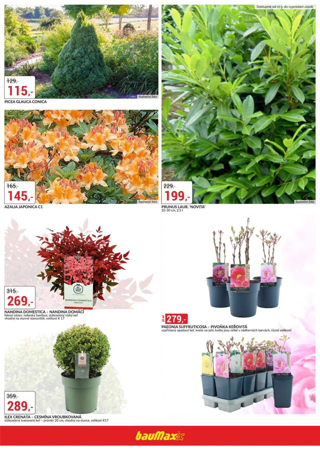 BAUMAX leták - Od čtvrtka 12.3.2026 (2026-03-12 - 2026-03-31)