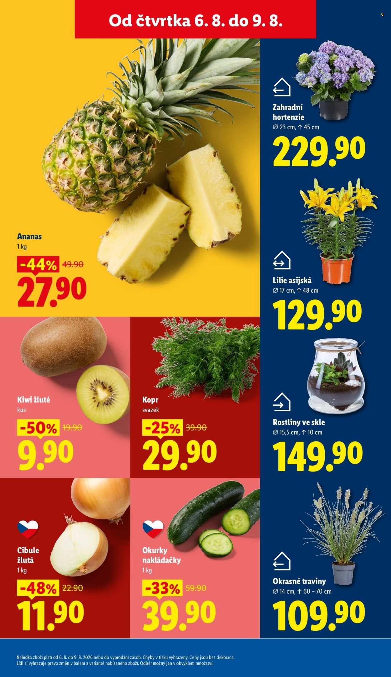 LIDL leták - Od čtvrtka 6.8.2026