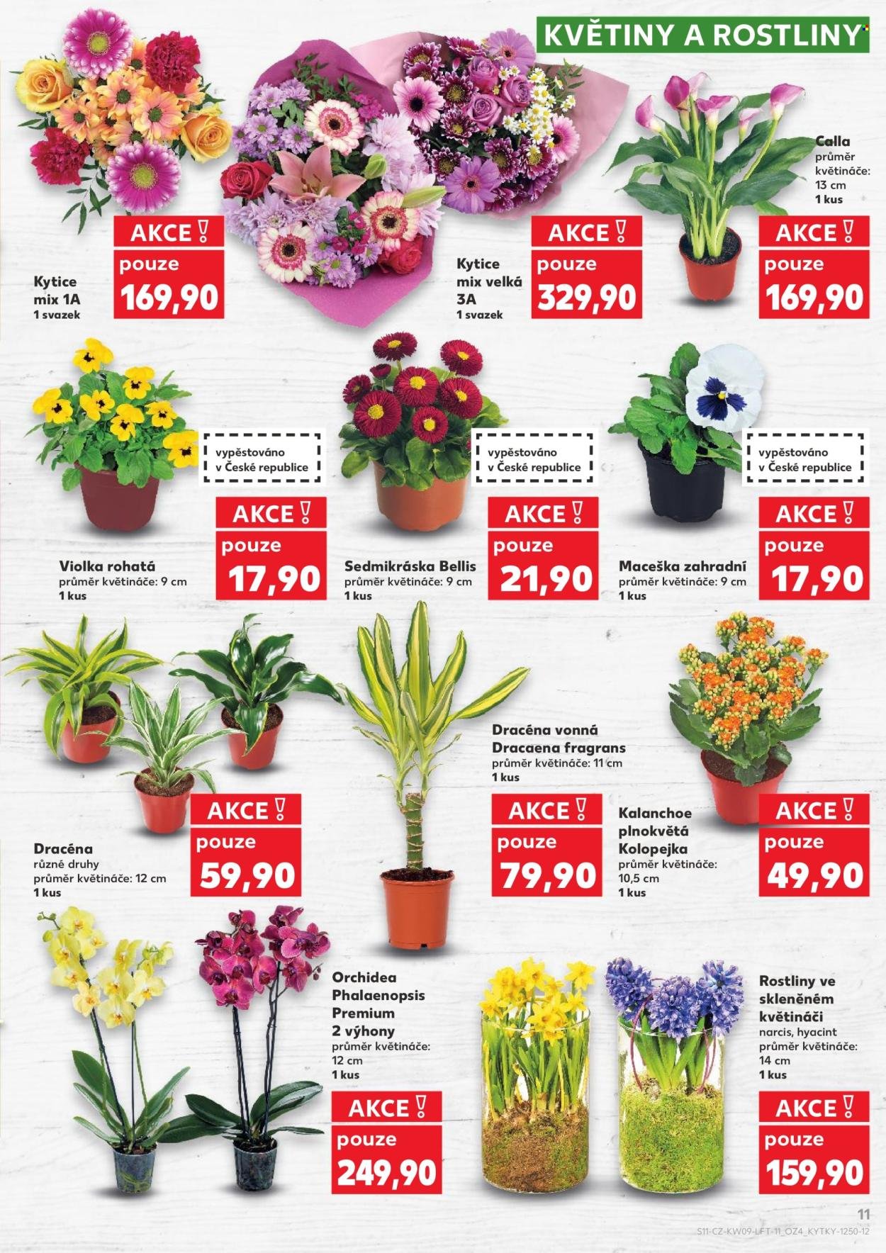 KAUFLAND leták - Od středy 25.2.2026 (2026-02-25 - 2026-03-03)