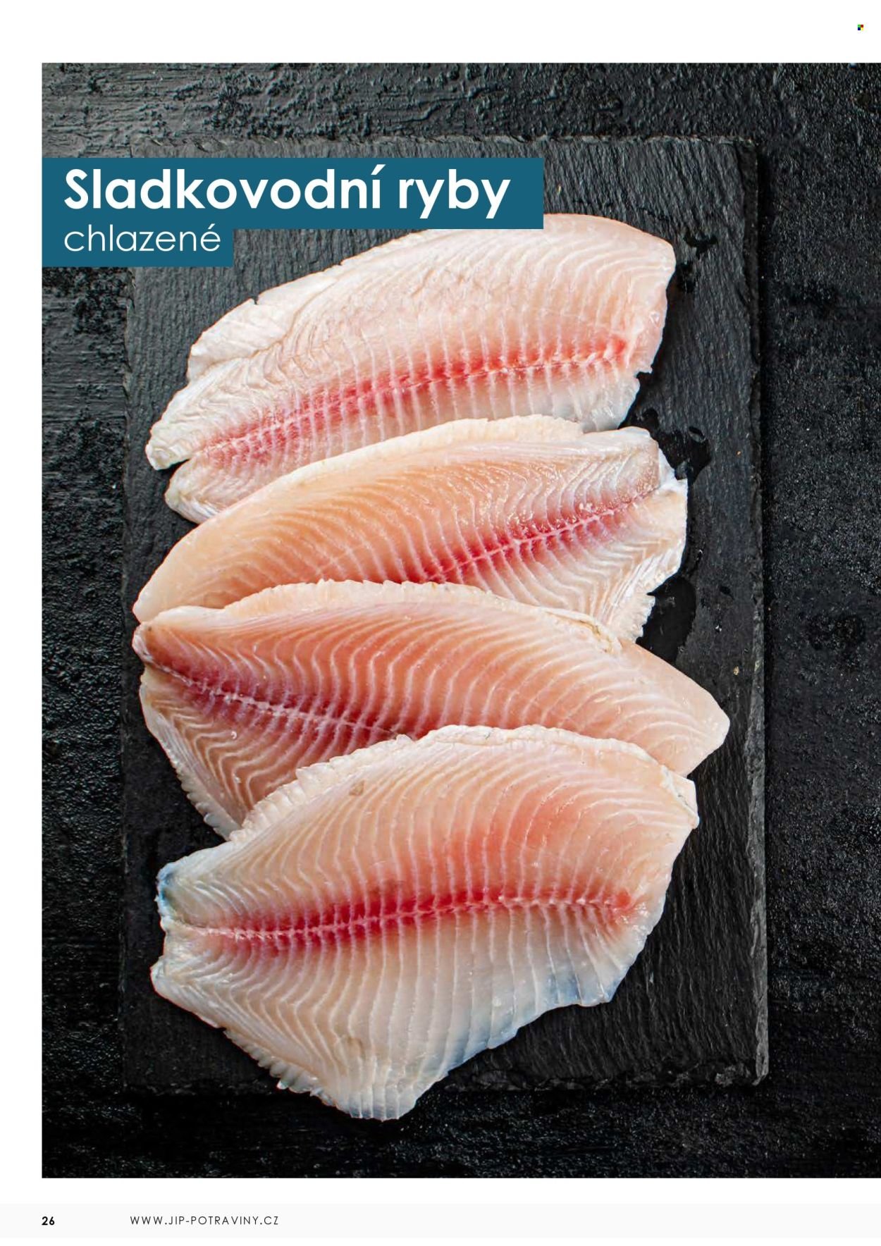 JIP leták - Ryby