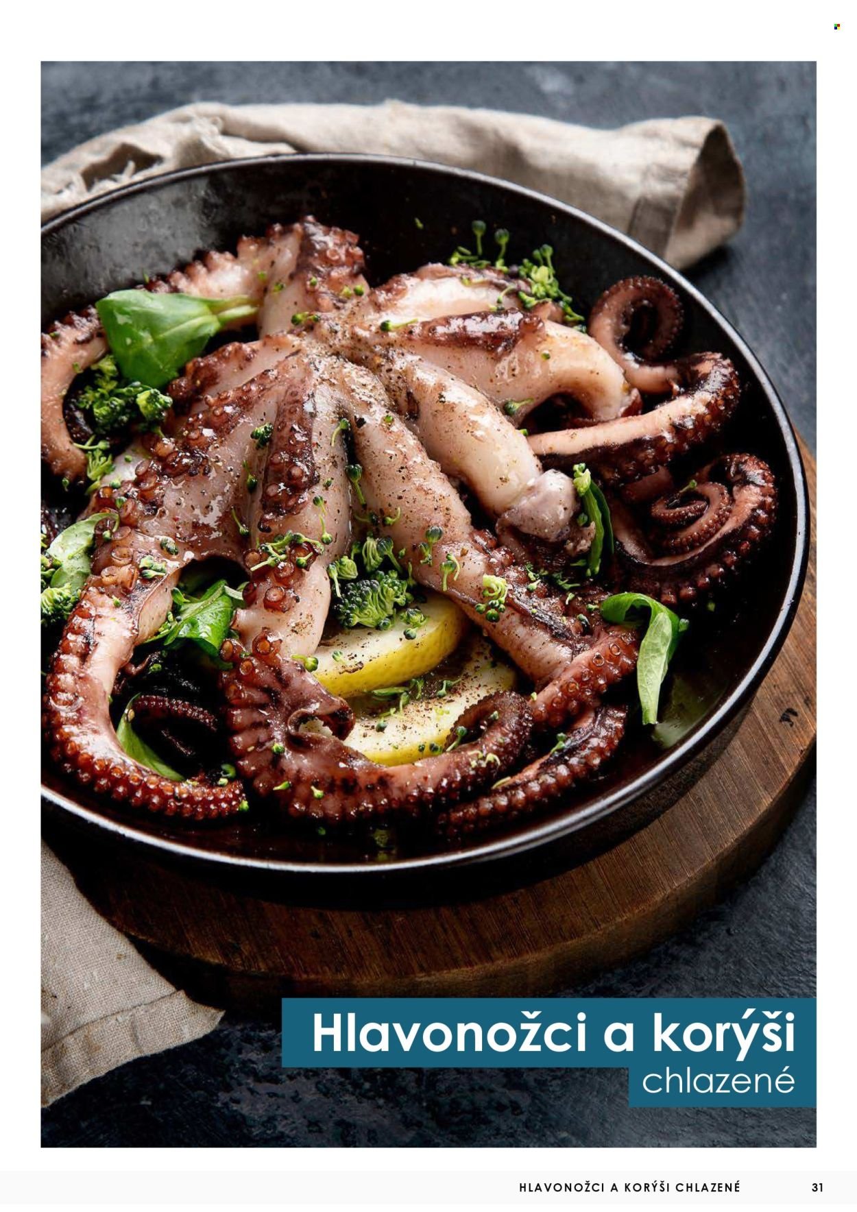 JIP leták - Ryby