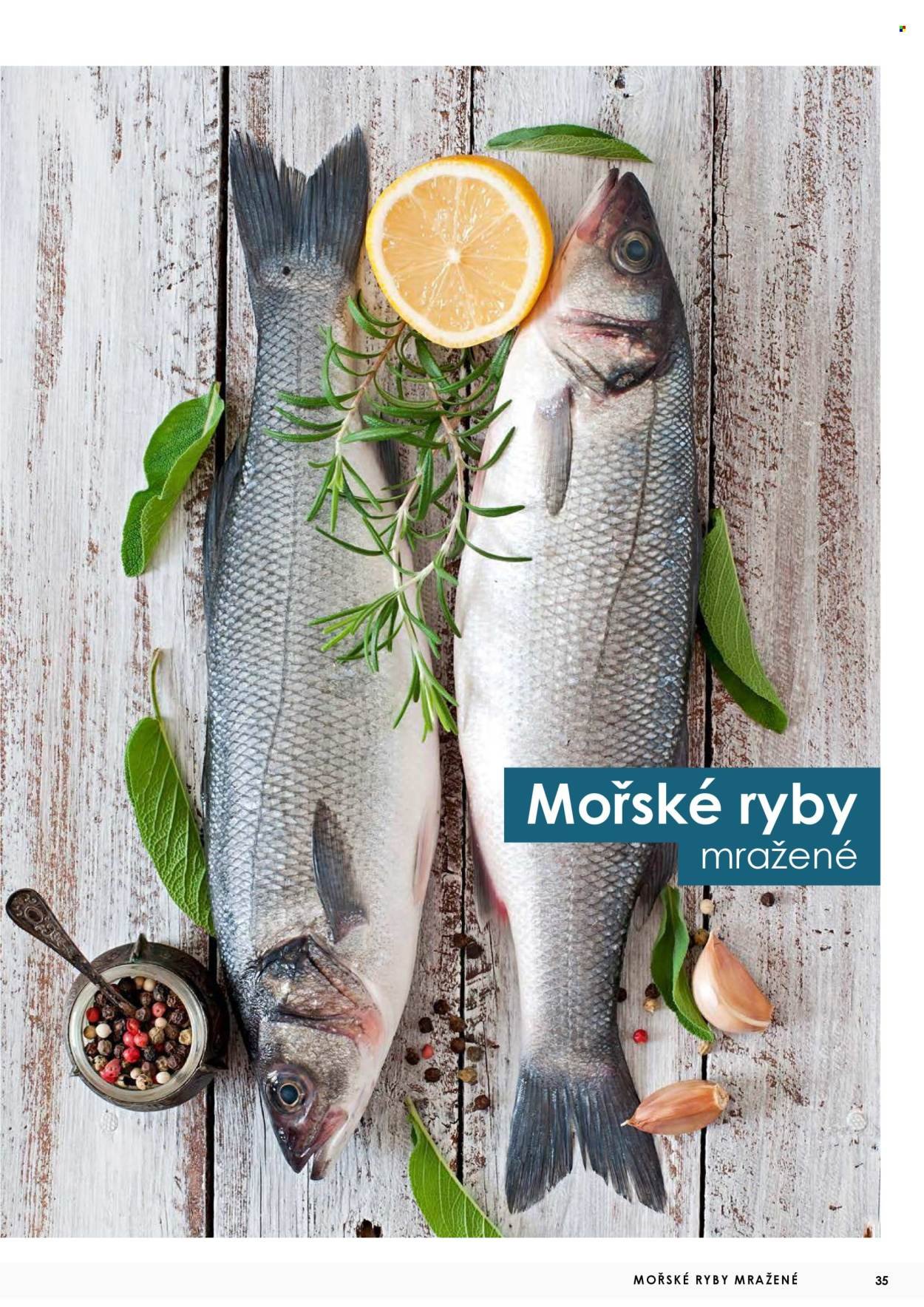 JIP leták - Ryby