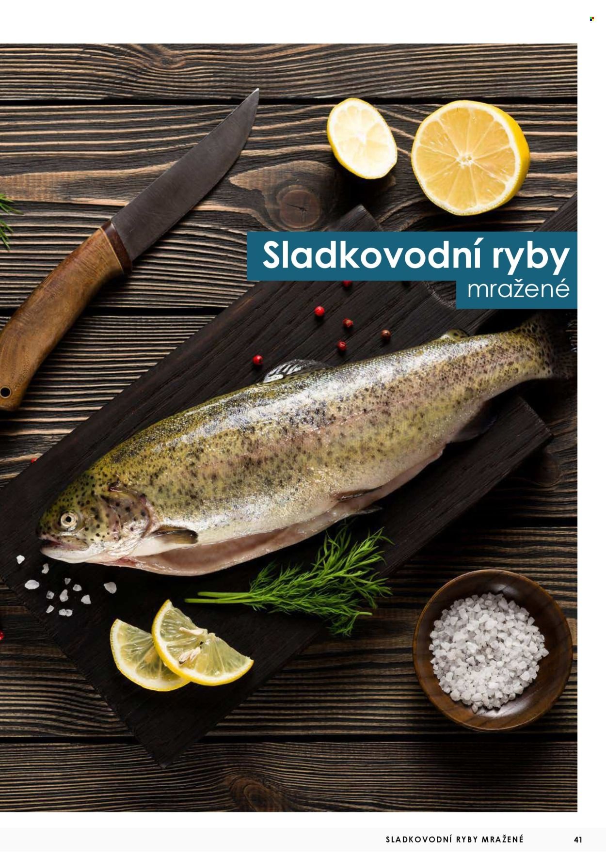 JIP leták - Ryby