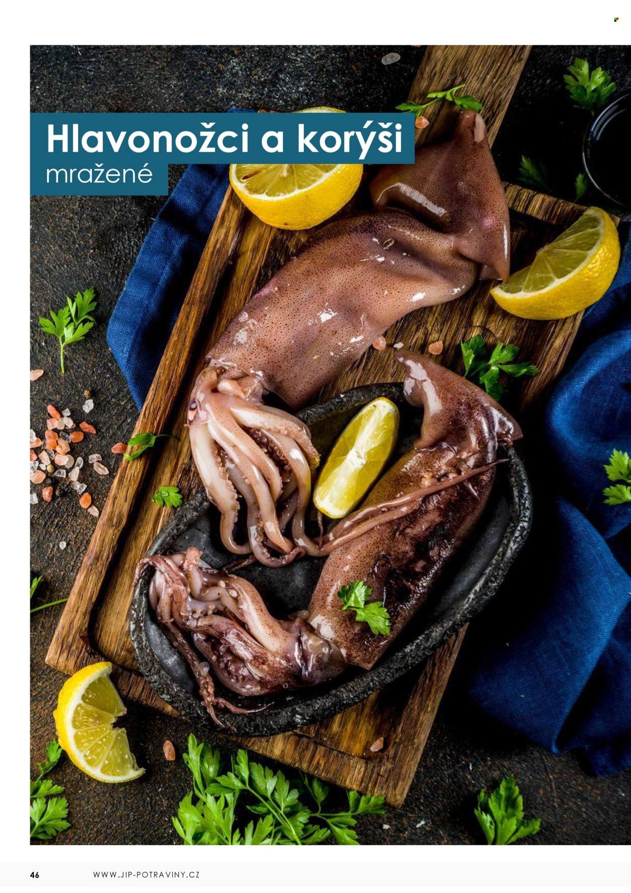JIP leták - Ryby