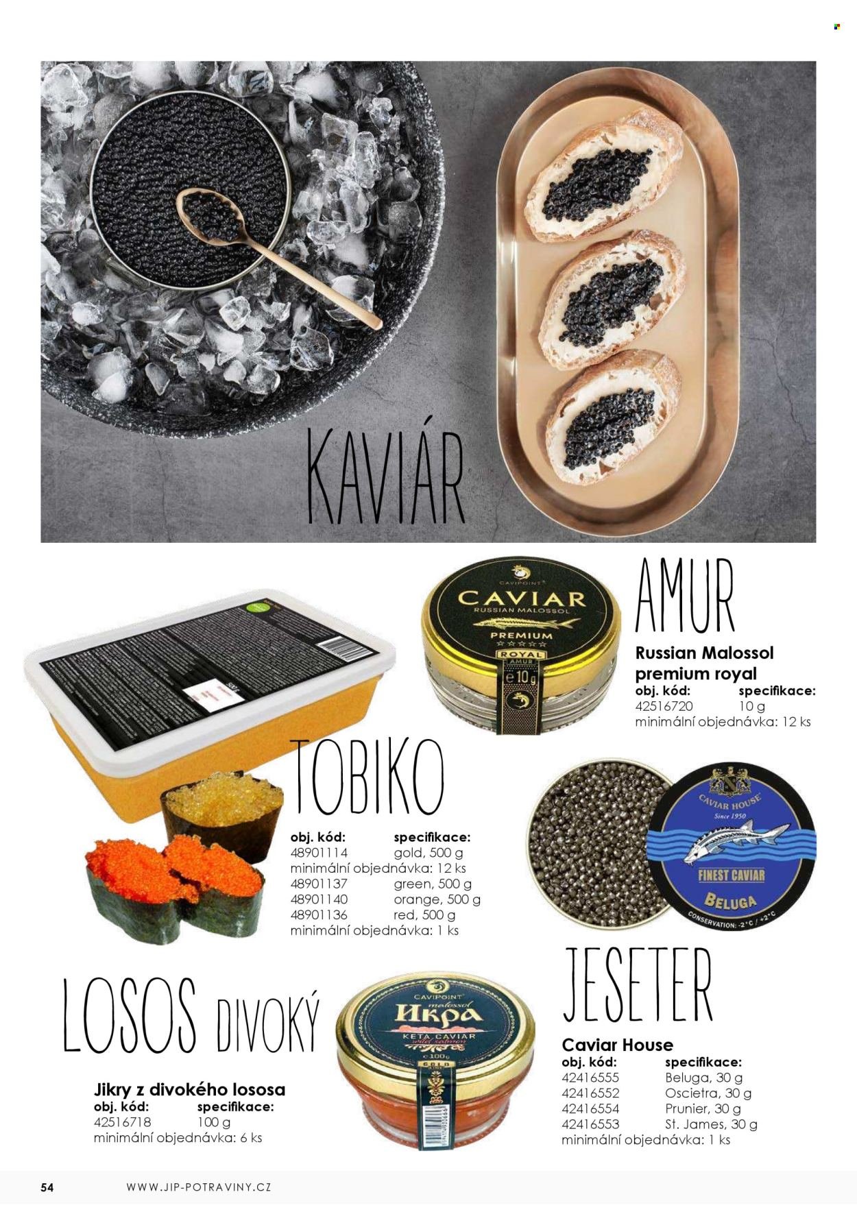 JIP leták - Ryby