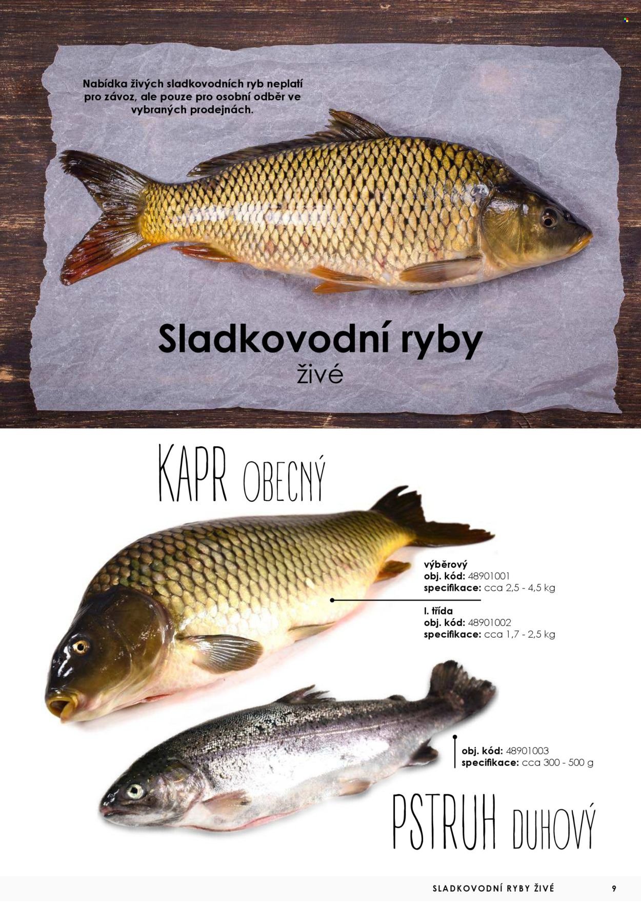 JIP leták - Ryby