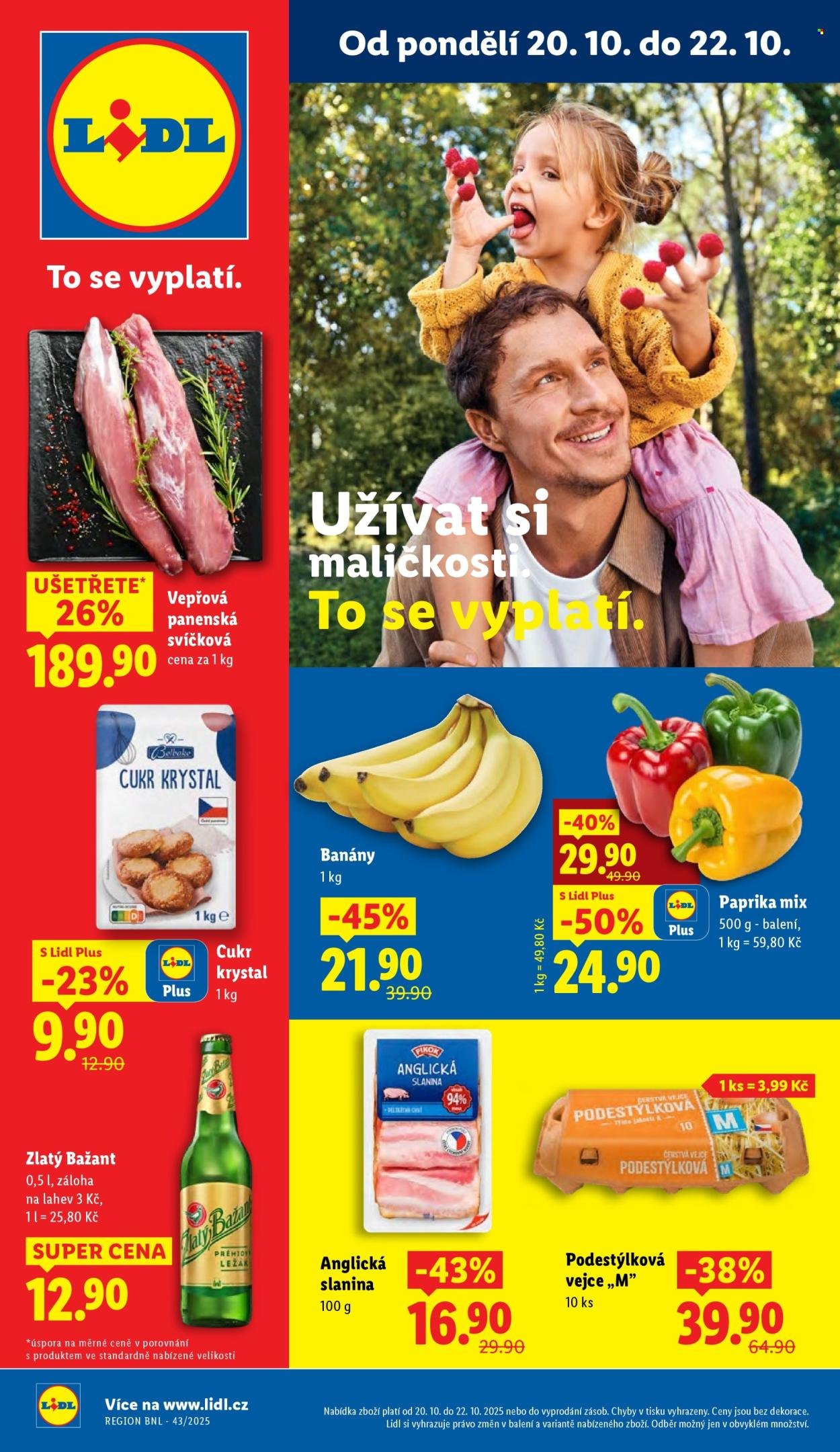 LIDL leták - Od pondělí 20.10.2025 (2025-10-20 - 2025-10-22)