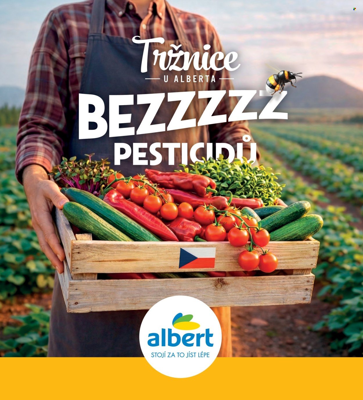ALBERT leták - Magazín