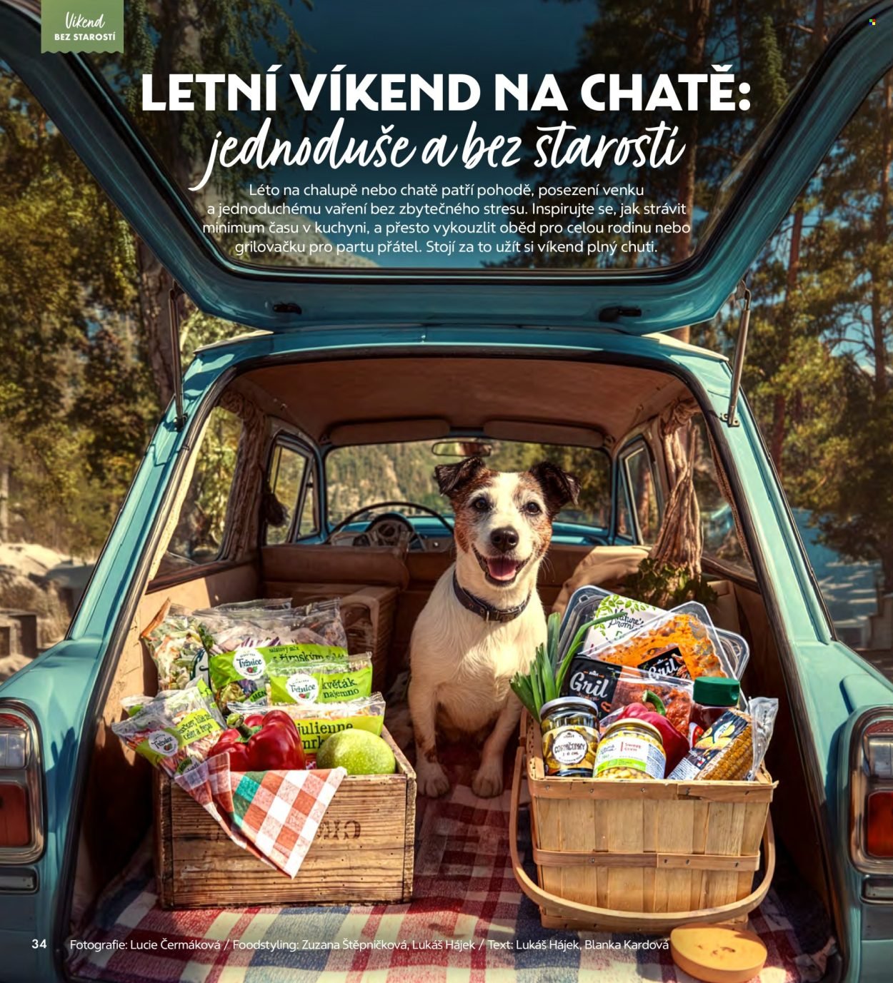ALBERT leták - Magazín