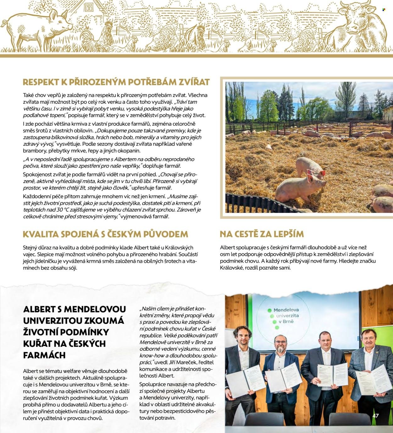 ALBERT leták - Magazín