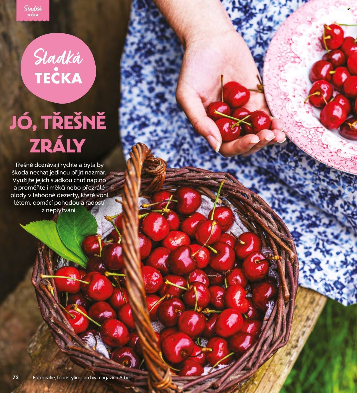 ALBERT leták - Magazín