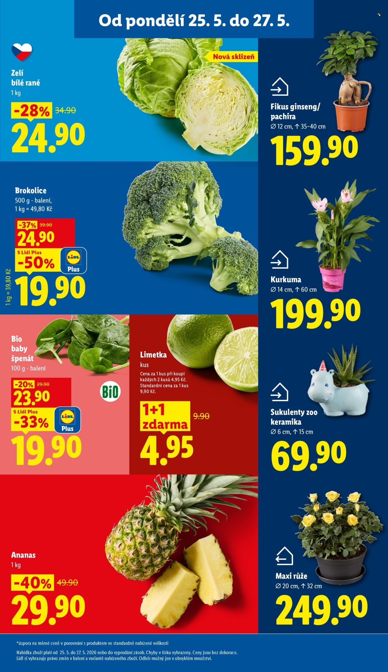 LIDL leták - Od pondělí 25.5.2026 (2026-05-25 - 2026-05-27)