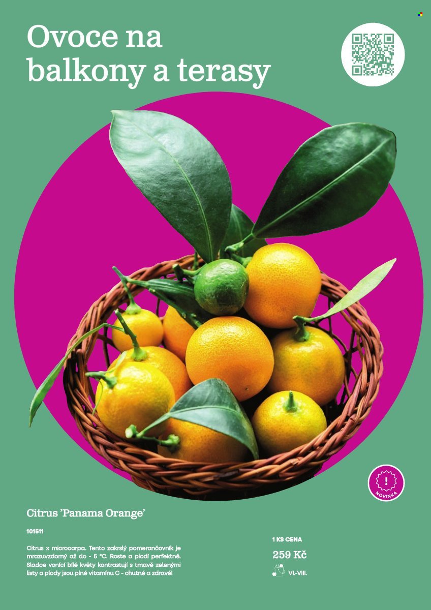 STARKL leták - Starkl (2026-02-25)