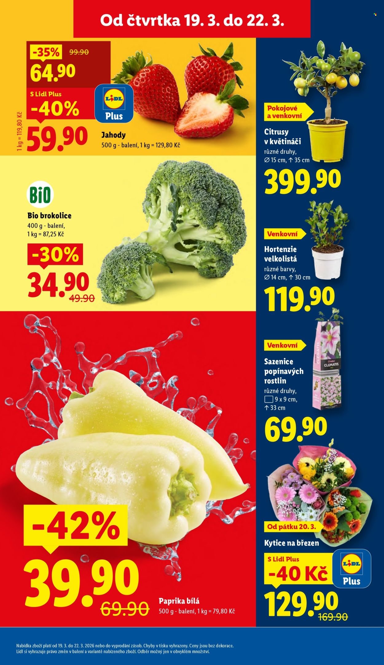 LIDL leták - Od čtvrtka 19.3.2026 (2026-03-19 - 2026-03-22)