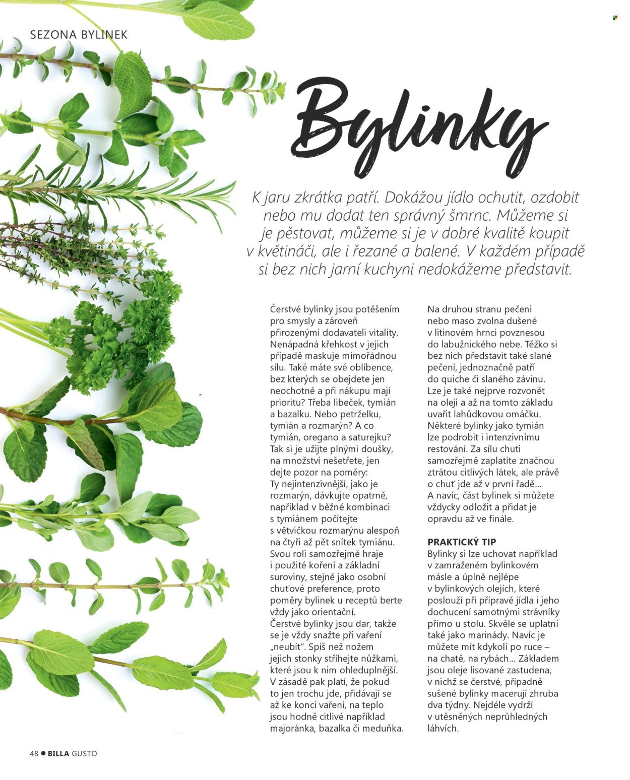 BILLA leták - Jaro 2026 (2026-02-28)