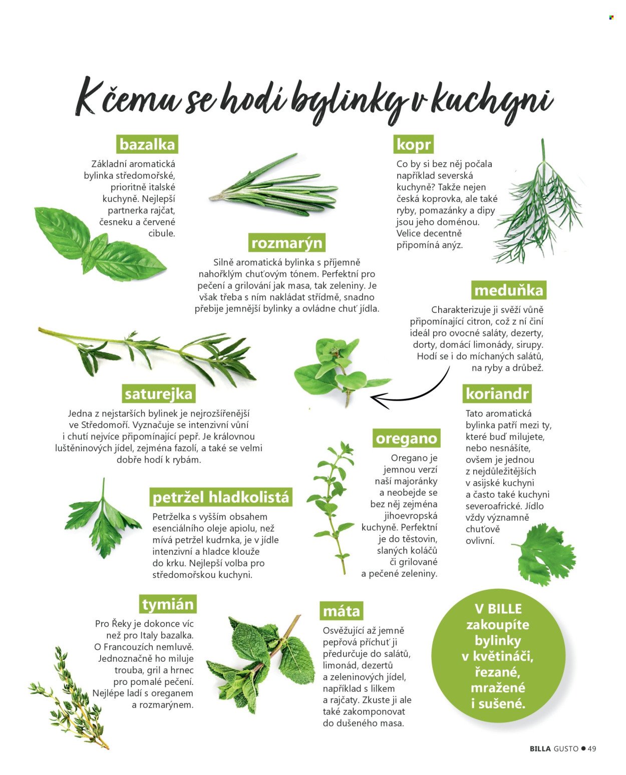 BILLA leták - Jaro 2026 (2026-02-28)