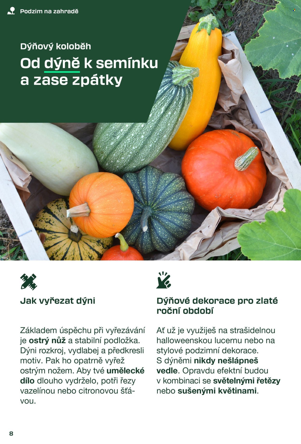 LIDL leták - Magzín pro kutily (2025-08-30)