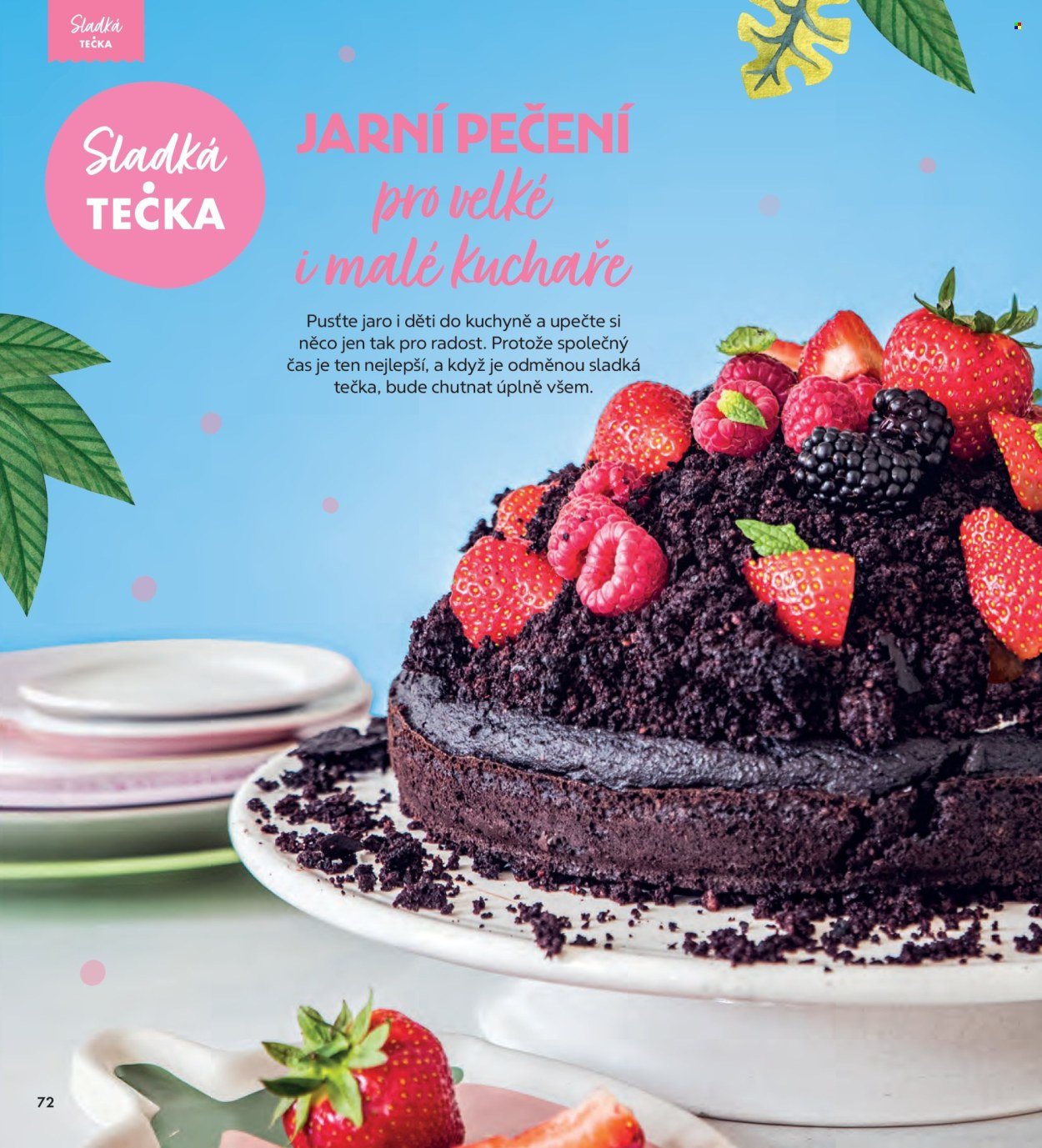 ALBERT leták - Magazín (2026-04-08 - 2026-05-05)