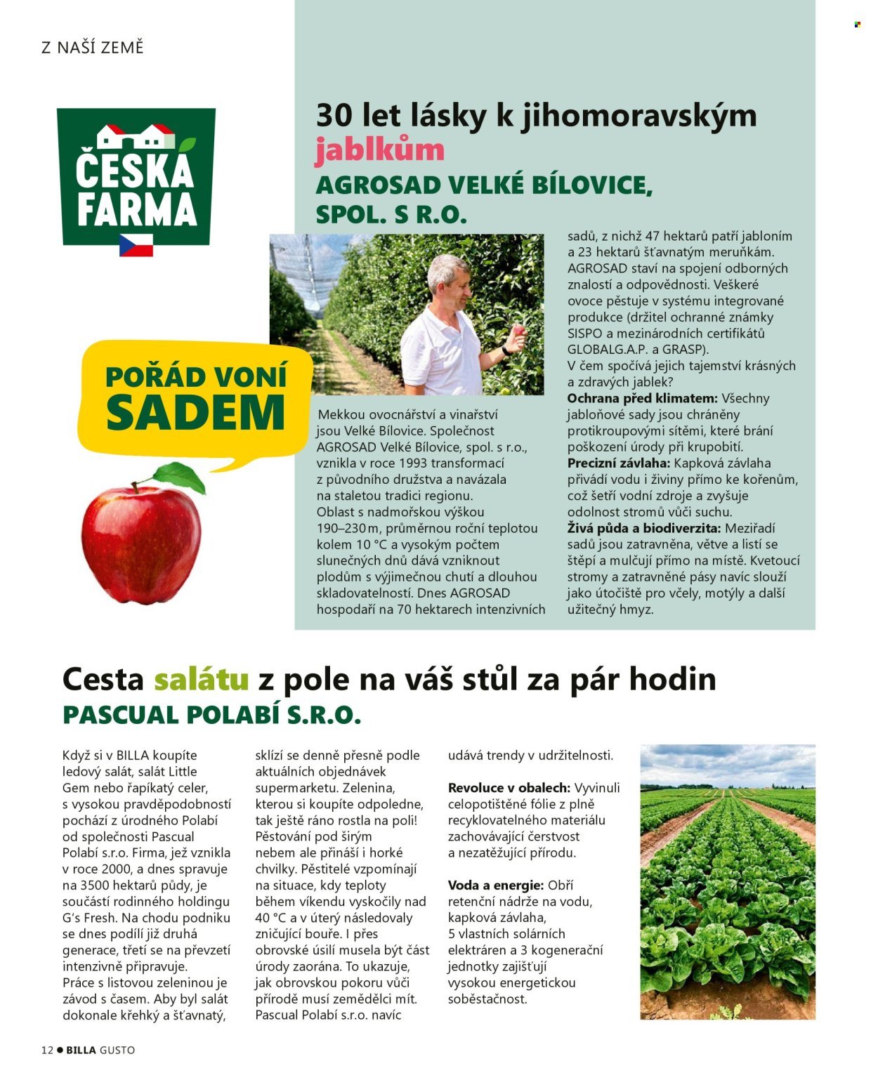 BILLA leták - Gusto magazín