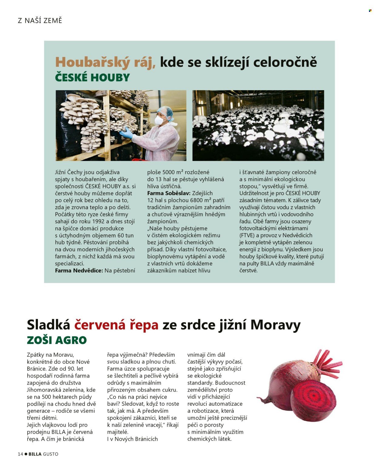 BILLA leták - Gusto magazín