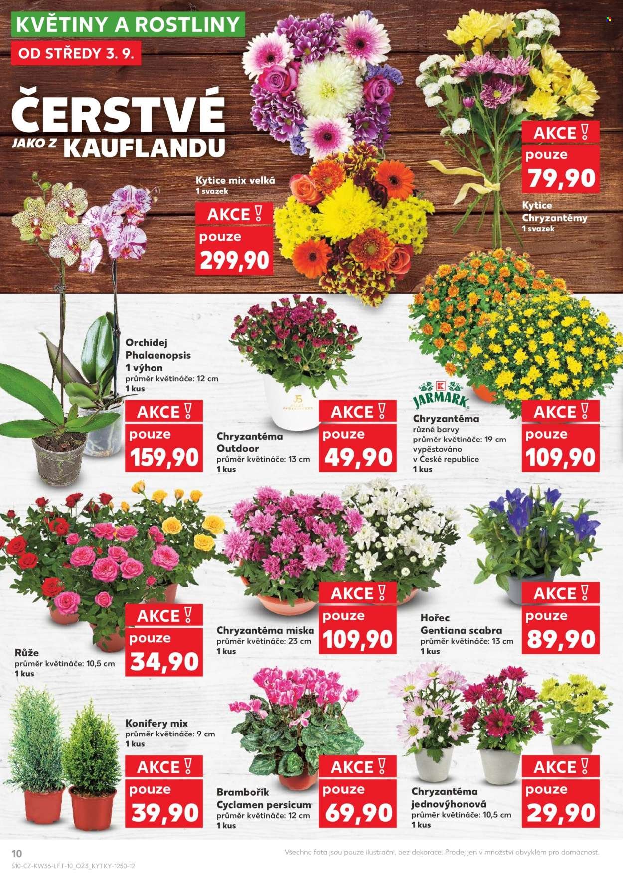 KAUFLAND leták - Od středy 3.9.2025 (2025-09-03 - 2025-09-09)