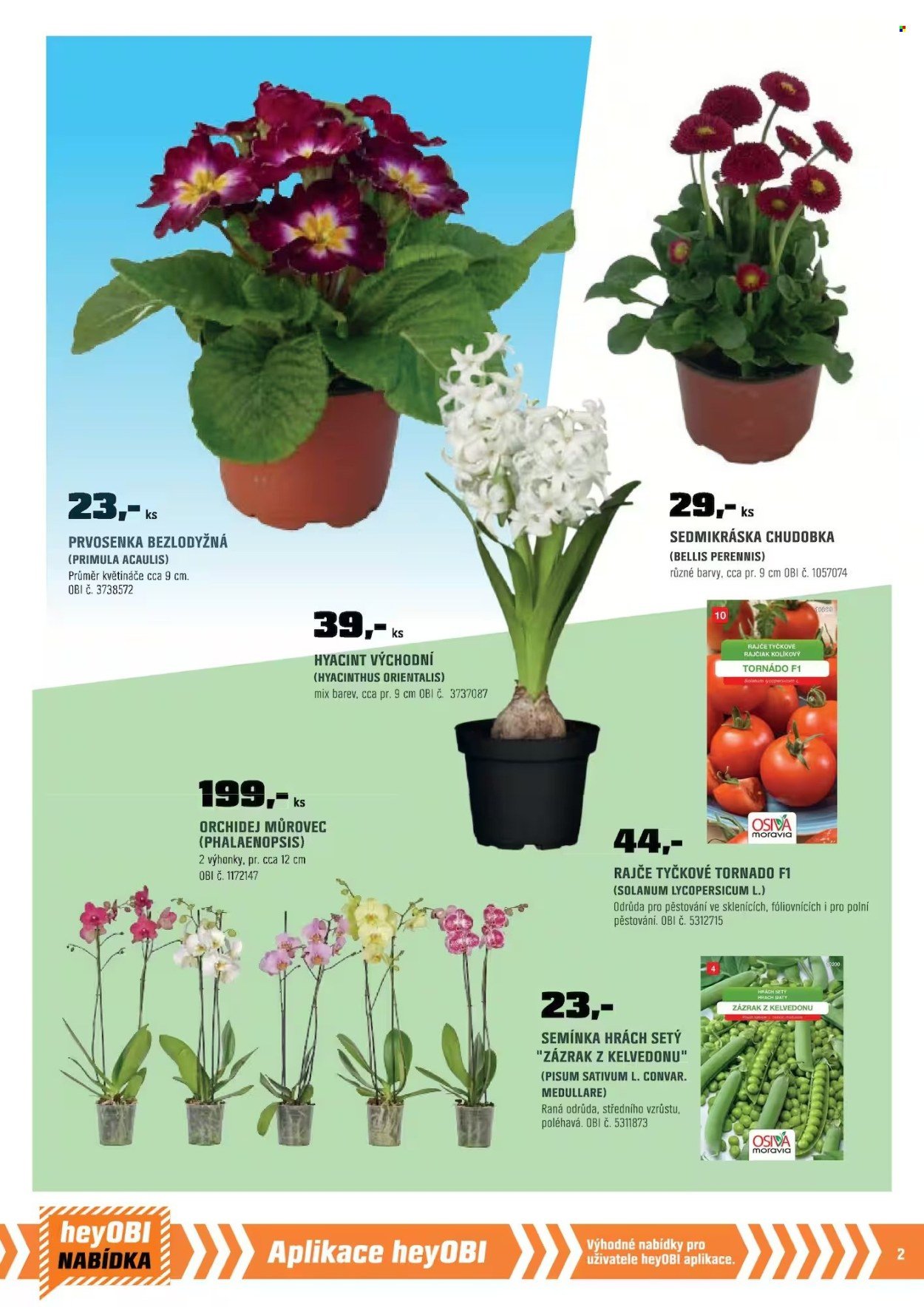 OBI leták - Bobří síla v akci (2026-02-01 - 2026-02-28)