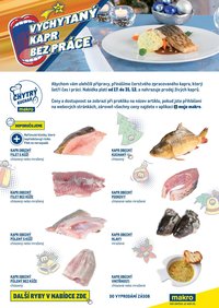 MAKRO leták - Vychytaný kapr bez práce (2025-12-17 - 2026-01-31)