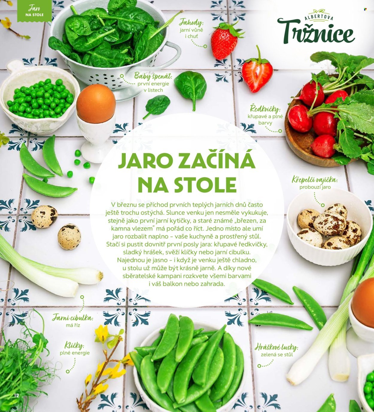 ALBERT leták - Magazín (2026-03-04 - 2026-04-07)